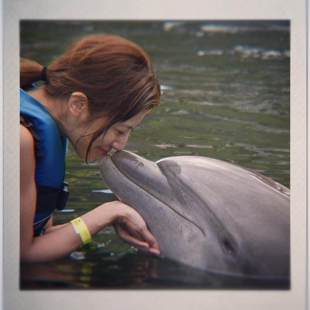 mioさんのインスタグラム写真 - (mioInstagram)「#🐬 動物とのふれあいは、セラピーのようで、一緒に過ごすことでとてもリラックスできたりプラスの感情を感じることができることが多いと思います。 イルカはその人が持つなんらかの性質も察知するそうです。 #dolphin #イルカ」2月26日 5時44分 - mio_harutaka