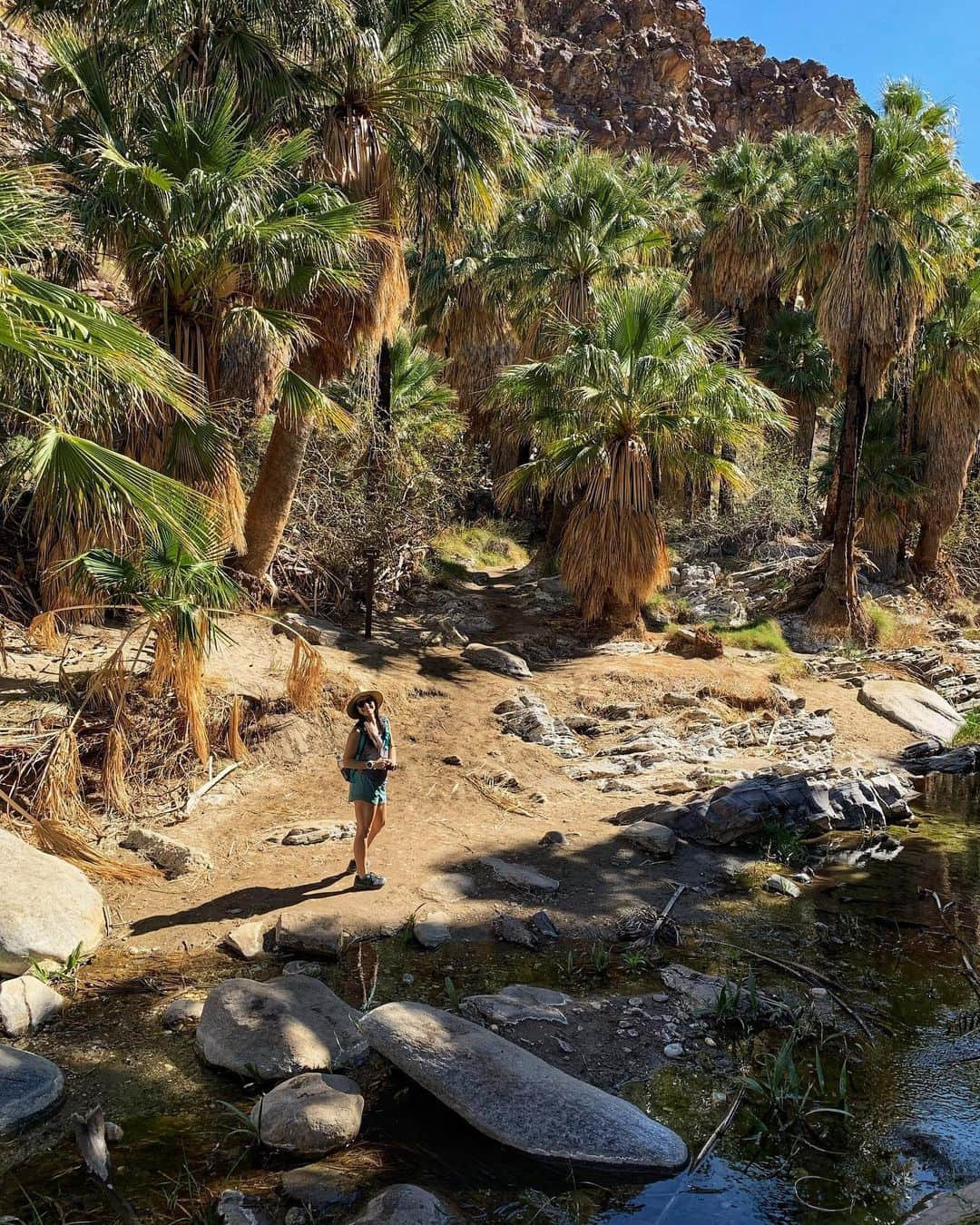 マリッサ・キャステリのインスタグラム：「California adventures 🌵🌴 . . . . . . *#palmsprings #desertlife #indiancanyons #palmtrees」