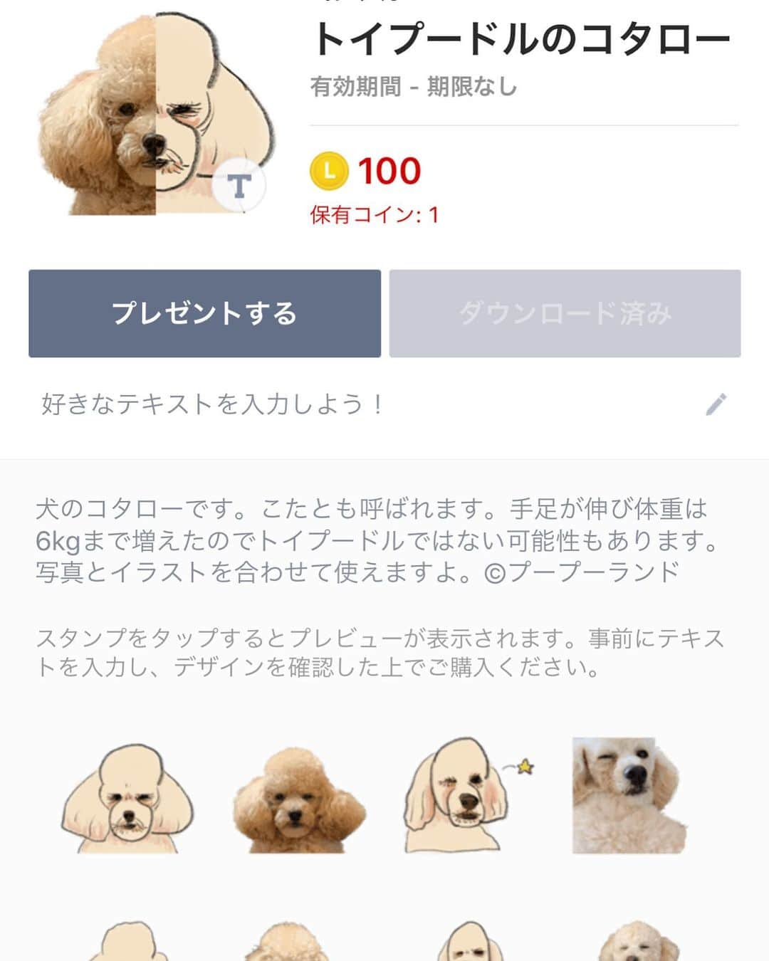  吉永龍樹のインスタグラム：「出ました  #いぬ #toypoodle #トイプードル #lineスタンプ #プードル 【トイプードルのコタロー - LINE スタンプ】 https://line.me/S/sticker/10900503」