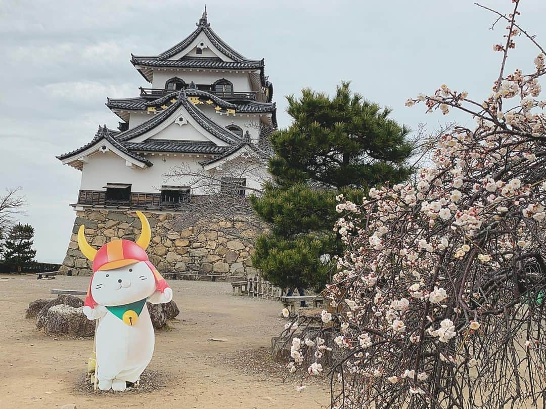 若月雅のインスタグラム