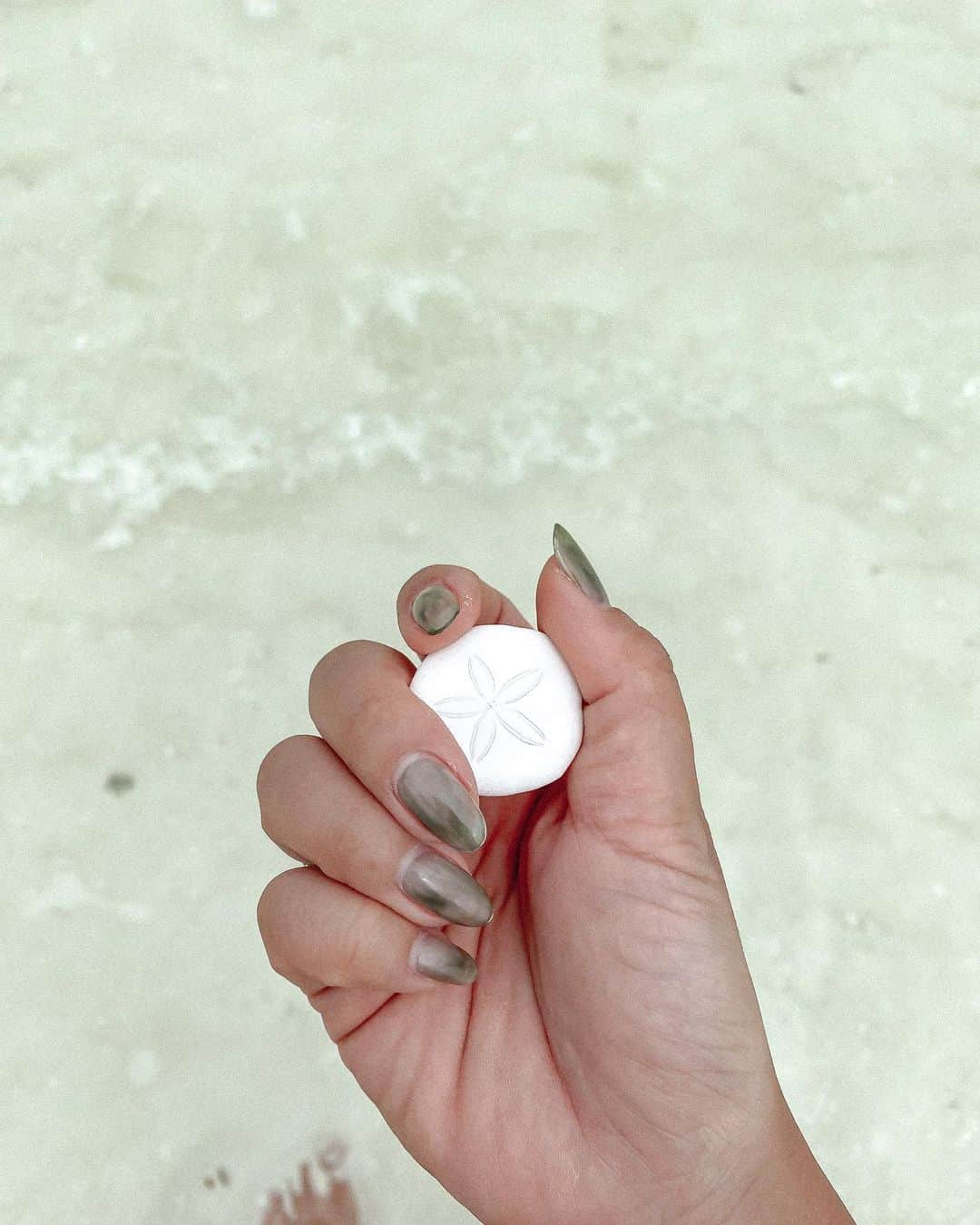 Manamiのインスタグラム：「🌸 今のNailは @kai32 にやってもらったやつ💗 お気に入り💕 ㅤ この白い子スカシカシパンだと思ってたら、 タコノマクラという子らしい！」