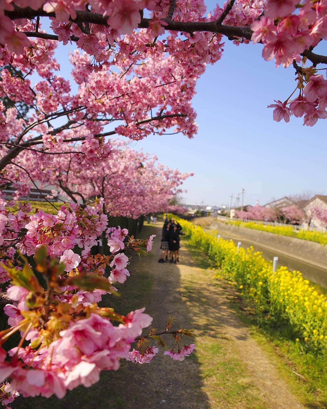 愛知県田原市のインスタグラム