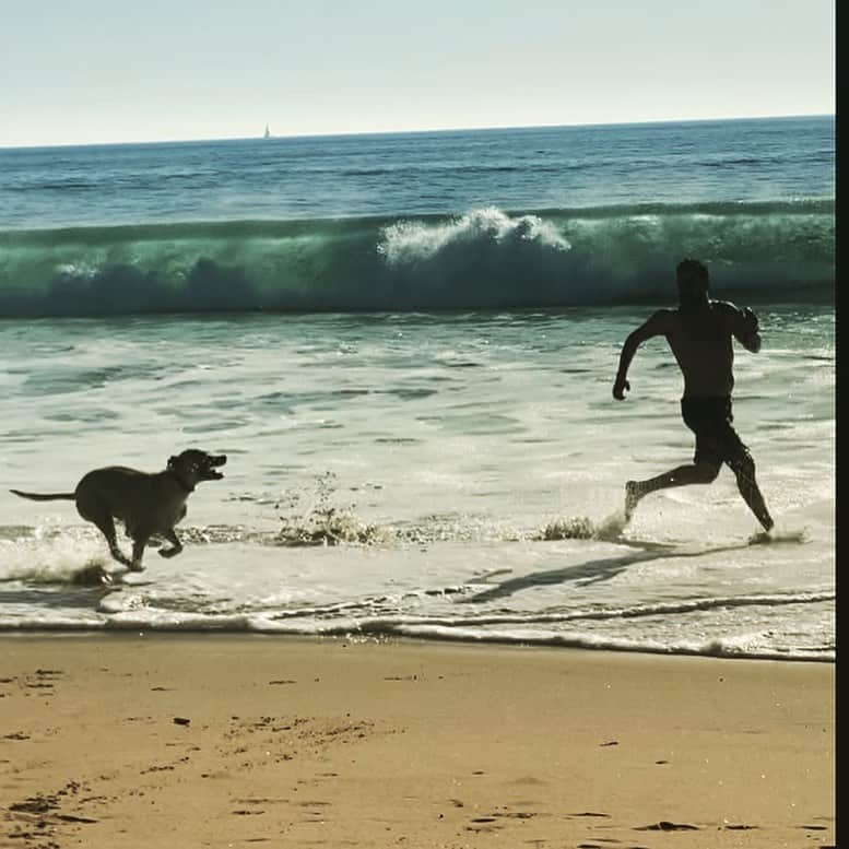 イグナシオ・セルキオのインスタグラム：「Playtime with my boy Hero 🐕  #dogsofinstagram #adoptdontshop🐾 #therapydog #perrosdeinstagram」