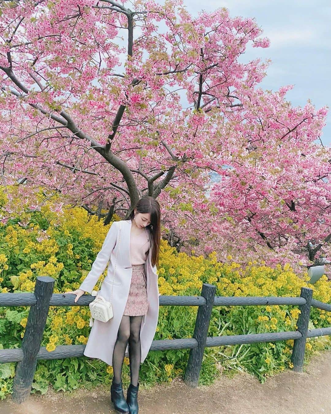 佐倉知里のインスタグラム：「Cherry blossom ❀.* . 一足先に河津桜が🌸 菜の花も一緒に咲いてて凄くかわいかった♡ 丘の上にあるので空と景色も一緒に見れて それもまた素敵でした。 . . . . . . #下山にあった #ローラー滑り台 #迷わず滑る #少し楽した#楽しかった #もうすぐ春ですね . . . . #河津桜#河津桜まつり#満開#桜まつり#菜の花#河津桜と菜の花#🌸🌼#桜#sakura#まつだ桜祭り#cherryblossom」