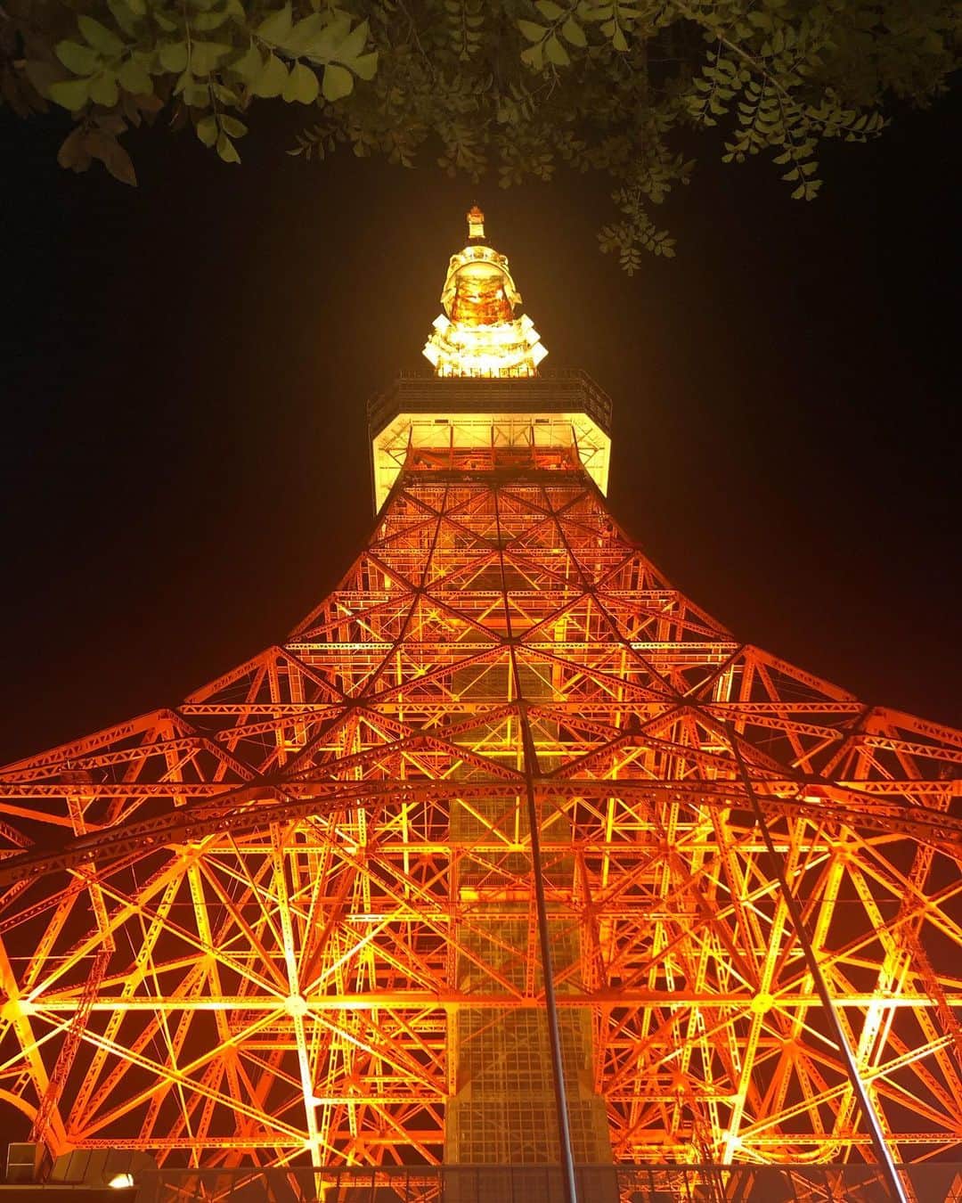 浦田麻緖さんのインスタグラム写真 - (浦田麻緖Instagram)「東京タワーが目の前に見えるお店に入ってみたよ🗼 入り口のオブジェに東京タワー🗼が写るんだー✨✨✨ 素敵💫 夜は東京タワーがライトアップされて綺麗だから、夜に行くのがおすすめです🌟 暖かくなったら、テラスでカフェ☕️もいいかもね😙 それにしても、東京タワーって何度見ても素晴らしい‼️🗼 色といい、作りといい、とっても好きなんです❣️ #東京タワー　#東京タワーが見えるお店  #東京タワー夜景  #cafe #レストラン　#グルメ　 #テラスダイニングタンゴ  #tokyo #東京タワーみたら思い出す  #リリーフランキー　さん」2月26日 22時00分 - mao.urata