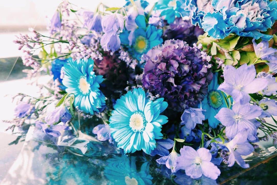 清水愛美さんのインスタグラム写真 - (清水愛美Instagram)「とーーっても綺麗なお花🥺 ブルーが本当綺麗っっ！ センスが良すぎます。 * よく行く青山の #balenciaga  さんから😭❣️ @balenciaga * #お花　#いつもありがとうございます #花ある暮らし  #花ある暮らしを楽しむ  #flower #花束」2月26日 22時00分 - manami_s0902