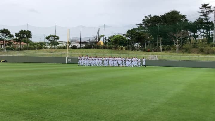阪神タイガースのインスタグラム