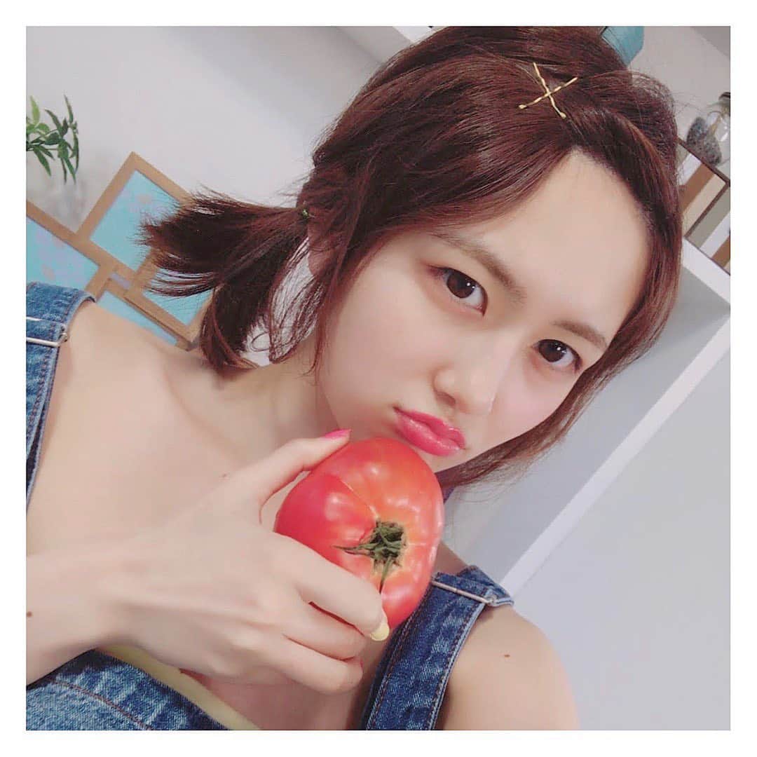 森杏奈さんのインスタグラム写真 - (森杏奈Instagram)「ㅤㅤㅤㅤㅤㅤㅤㅤㅤㅤㅤㅤㅤ ㅤㅤㅤㅤㅤㅤㅤㅤㅤㅤㅤㅤㅤ トマトは好きだけど喉がかゆくなります🤢 ㅤㅤㅤㅤㅤㅤㅤㅤㅤㅤㅤㅤㅤ そして今も花粉で喉かゆい🤢🌼 ㅤㅤㅤㅤㅤㅤㅤㅤㅤㅤㅤㅤㅤ なんか怒ってない？(笑) ㅤㅤㅤㅤㅤㅤㅤㅤㅤㅤㅤㅤㅤ #tomato #トマト  ㅤㅤㅤㅤㅤㅤㅤㅤㅤㅤㅤㅤㅤ」2月26日 20時59分 - _morianna