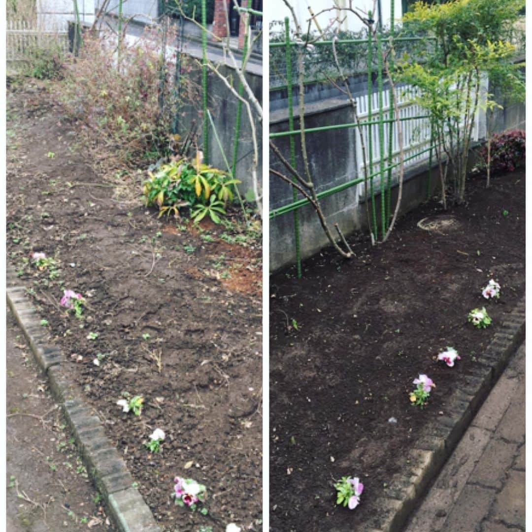 MILLE ECLAT.のグルメインスタ