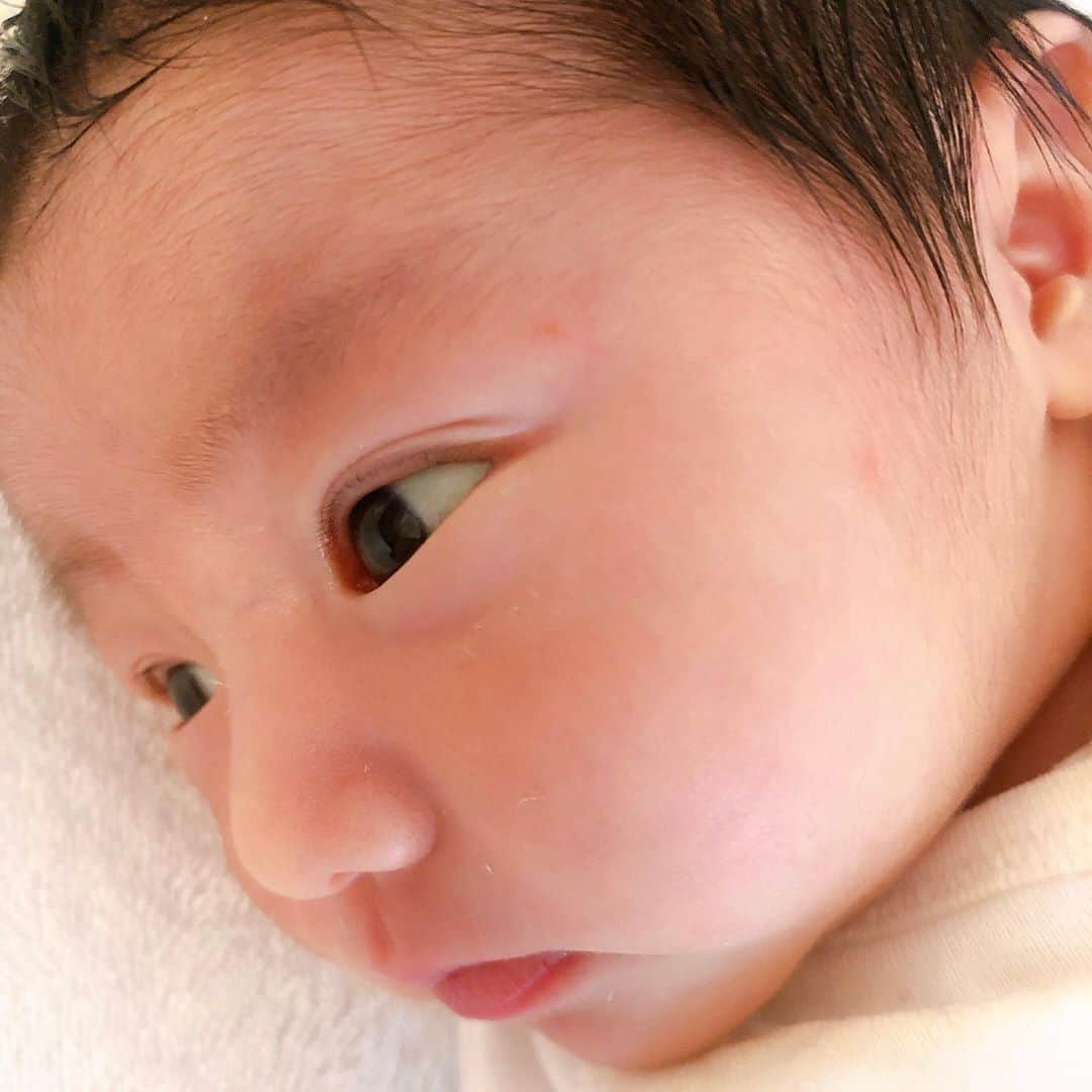 chayさんのインスタグラム写真 - (chayInstagram)「姉に赤ちゃんが産まれました🍼 初姪っ子なのでおばさんデビューです🤱 もうデレデレです☺️❤️ #baby #babygirl」2月26日 20時55分 - chay1023_official