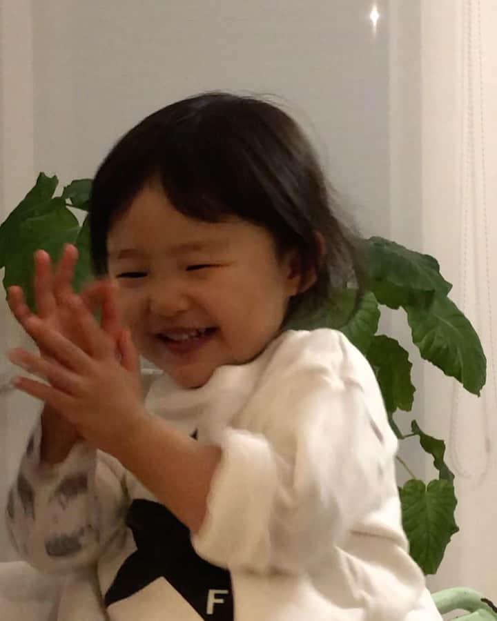 のインスタグラム：「めっちゃ歌うやん♫  犬と子猫ごっちゃやん！  めっちゃリピートするやん！」