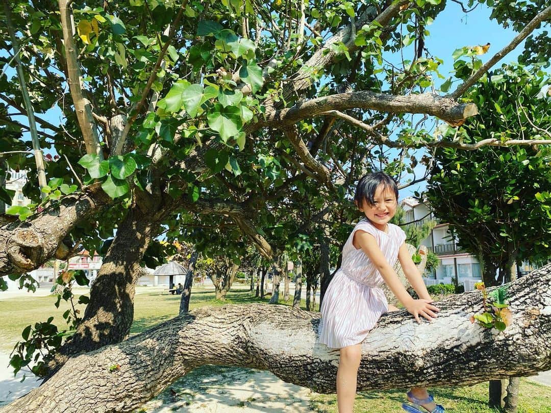 橋本麗香のインスタグラム：「おめでとう💖太陽ちゃん🌞 キャは1825と数日… マミーは14295と数日… これだけ多くマミーは日々を重ねて居るのに、 キミから学ぶ事の方が多いね…😅 そんな事より😬！ キミという存在に心からありがとう❤️ この現実を楽しんでサバイブして行こうね！🦄🦧💕 ． #ポケモンゲットだぜっ！ #🦄 #楽しいにフォーカス #きゃーちゃん0219」