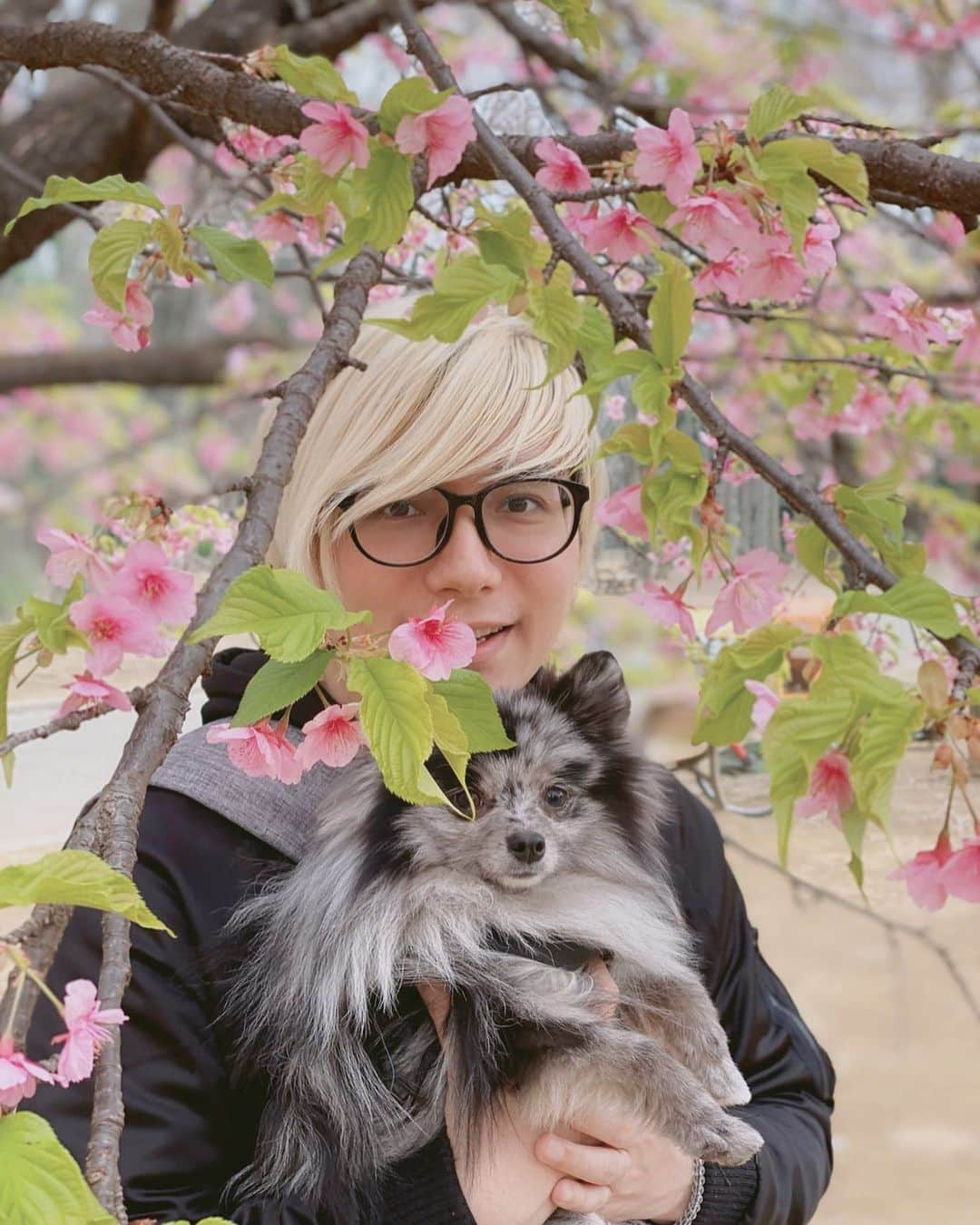 PDRさんのインスタグラム：「👨🐶🌸 📸by @mimeiland」