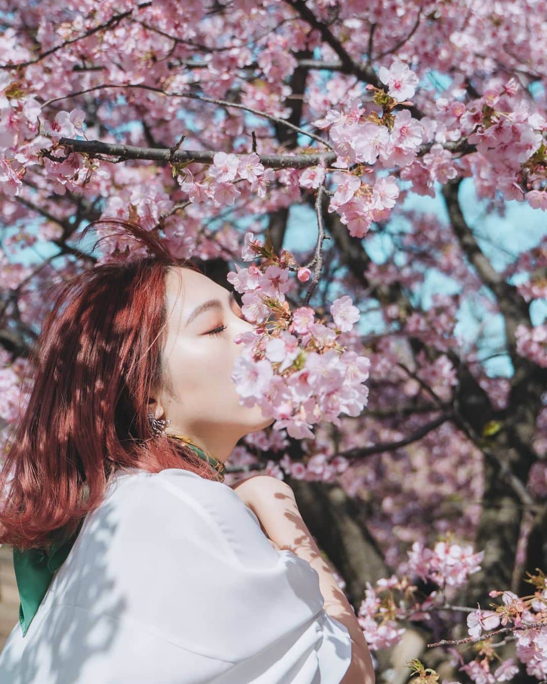 貴愛kwiae Officialのインスタグラム：「毎年桜が咲くと 今年も逢いに来たんだね。 と思ったりする。  勝手に。 それでも良いかな🌸🌸🌸 * * * * 今年も桜撮影快晴🌸 #photo by @joylous_tokyo  #代々木公園 #yoyogipark  #cherryblossom #sakura #桜 #河津桜 #pink #ピンク #flowers #photooftheday  #shooting  #camera #sonya7iii  #live #love #ryunna #forever いつも右顔ばかり見せてる🙄」