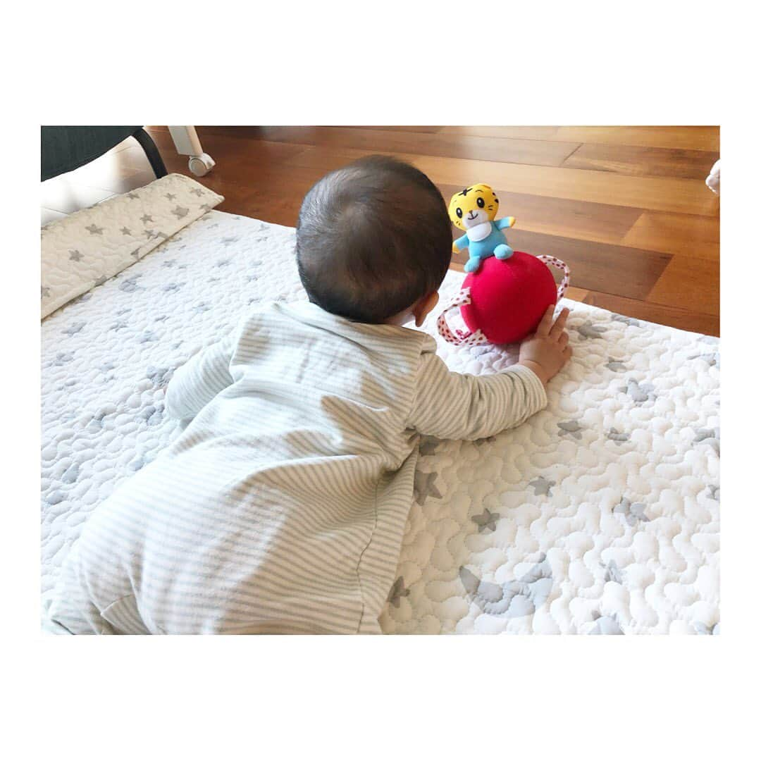 小脇美里さんのインスタグラム写真 - (小脇美里Instagram)「・ ・ ・ #こどもちゃれんじbaby の6ヶ月号が届きました♡ ・ ・ #しまじろう　のおきあがりこぼし♡ 最近、寝返りが出来るようになった娘にはぴったり！！ 夢中になって追いかけて、寝返りの回数も増えてます。 （でもまだ、寝返りして元に戻れないからしばらくすると、戻して〜！ってウーウー唸ってる。笑） ・ ・ コロコロ転がるし、優しい鈴の音も楽しいみたいです♡ あとは、兄さんが一緒になって遊んでる。笑 （息子、先月届いたプレイマットもお気にいりのようで妹と一緒に入って遊んでたりします。妹はお兄ちゃん大好きだから、ケタケタ笑ってうれしそう♡） ・ ・ ・ ママに向けての離乳食のはじめ方の本もすごーく分かりやすくて。 情報も細かいし、安心して学べます☻ ・ ・ ・ やはり第二子はあっという間の、半年。 第一子のときはとにかく常にいろんなことが心配で心配で余裕ゼロだったけど、 2人目はやはり心の余裕があるからとにかくかわいい！癒し！でしかなく。 ほんと幸せたくさんの半年でした。 ・ ・ あっという間に成長していく、 こども達。 置いてかれないように母さんも 成長しないとなぁと改めて思います。 ・ ・ こどもちゃれんじのサイトをみたらこんなキャッチコピーが。（写真3枚目） 素敵だなぁと思ったので、引用させていただきます♡ ・ ・ ・ ・ どんなに忙しくても、 おやこはもっと濃くなれる。 こどもちゃれんじは、 こども自身のわくわくも、 こどもへの上手なかかわり方も、 どっちも見つけられるから。 いっぱい愛しく思えて、 愛情がいっぱい伝わって その子の未来で役に立つ、 確かな力が育ちます。 ・ ・ ・ ・ まさにそうだなぁと。  おやこが、濃くなる。育ってく  これからも子どもと一緒に、ゆっくりゆっくり育っていきたいなぁと思います。 ・ ・ #PR　#こどもちゃれんじ　#こどもちゃれんじbaby #babyboy #babygirl #newbaby #男の子ママ #女の子ママ #二人目育児 #育児 #4歳 #0歳 #新生児 #親バカ部 #babyboy #働くママ #ワーママ #子育て  #子どものいる暮らし」2月26日 16時18分 - misatokowaki