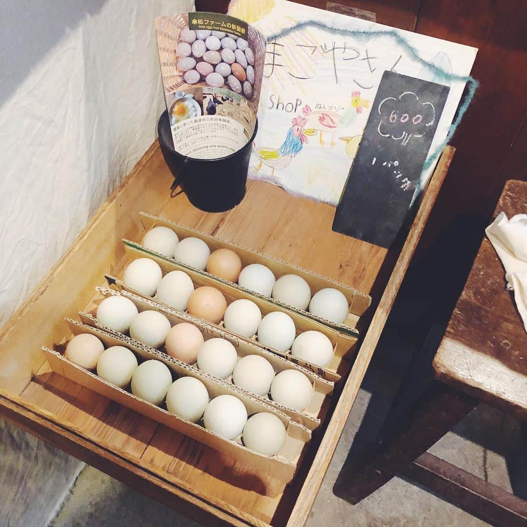 nonさんのインスタグラム写真 - (nonInstagram)「ス・マートパンで傘松ファームの有精卵〜🥚 ひょーさんが以前、デザインにひかれて買ってきた陶器の卵ケース。 「プラ製じゃないし、いいでしょ？！」と意気揚々とくれたけど、回収される紙パックの卵買ってるし、そもそも卵ってパック詰めされてしか売ってないし、、、とキッチンの飾りとなっていた卵ケース。  出番がやってきた！と持参して、ちょうど6個、詰めて購入〜  陶器のケースに並んだ色も形もちがう卵、かわいい。。。 パンは子どもたちが大好きなオレンジティと、ゴマゴマチーズをサラシに包んでもらって。  3種の鶏さんの有精卵。食べるのがとてもとても楽しみだ〜  #藤野 #プラスチックフリー」2月26日 17時02分 - non19841120