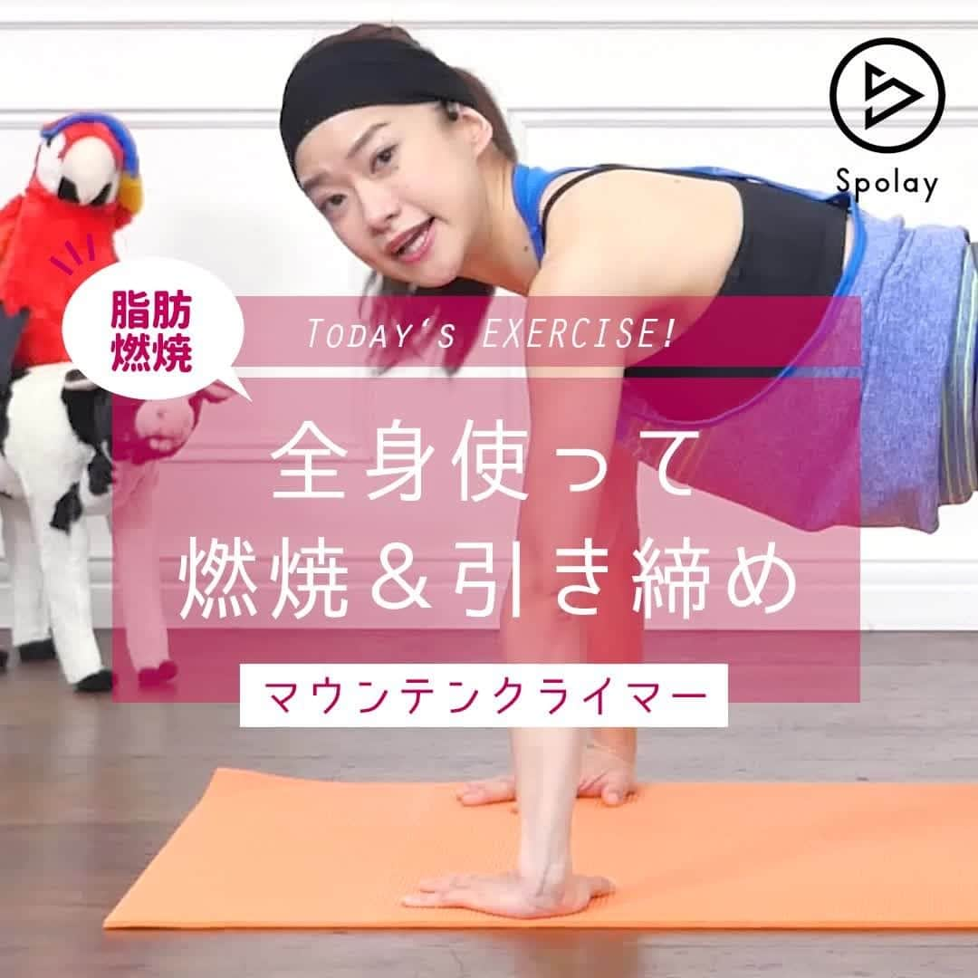 Spolayのインスタグラム