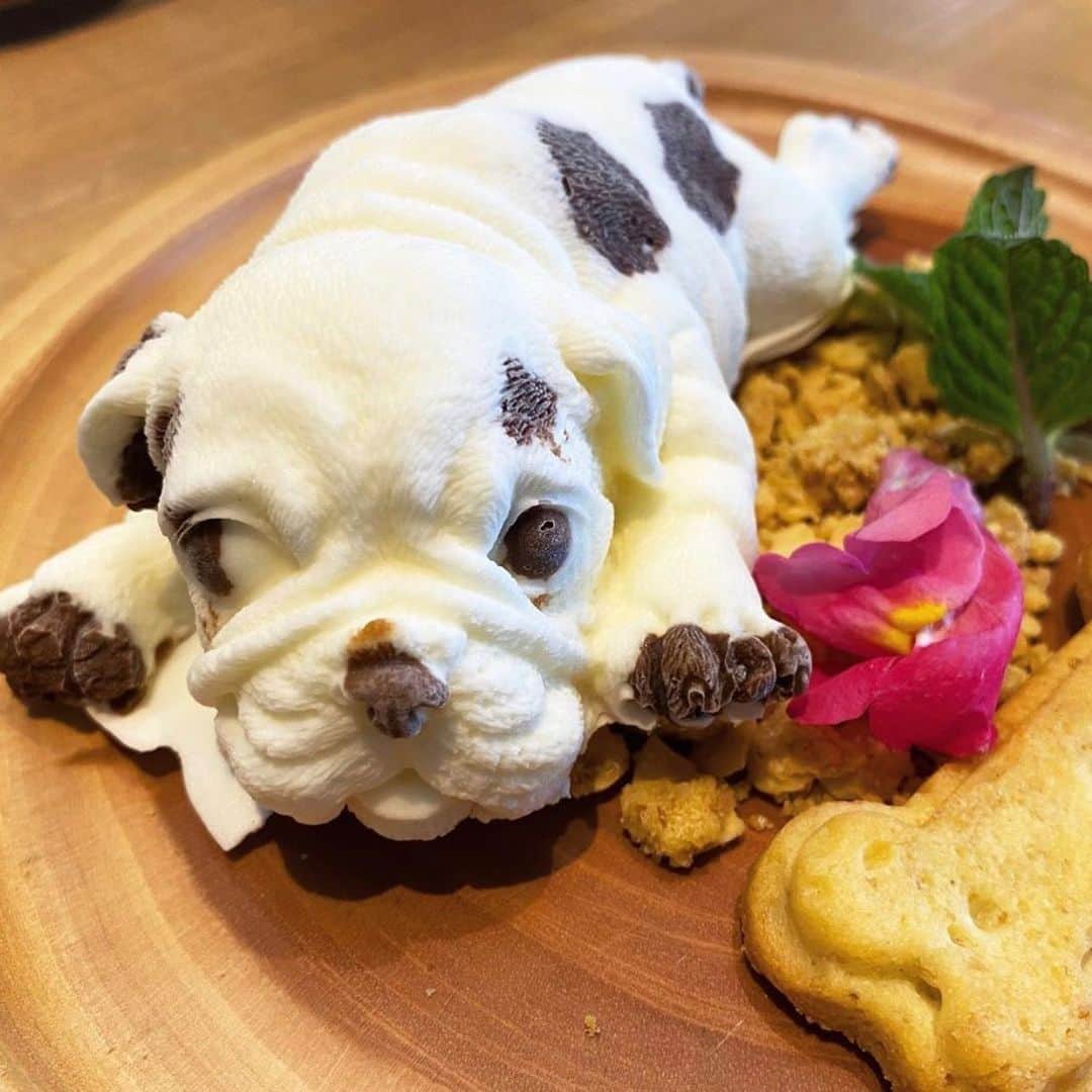 aumoグルメのグルメインスタ