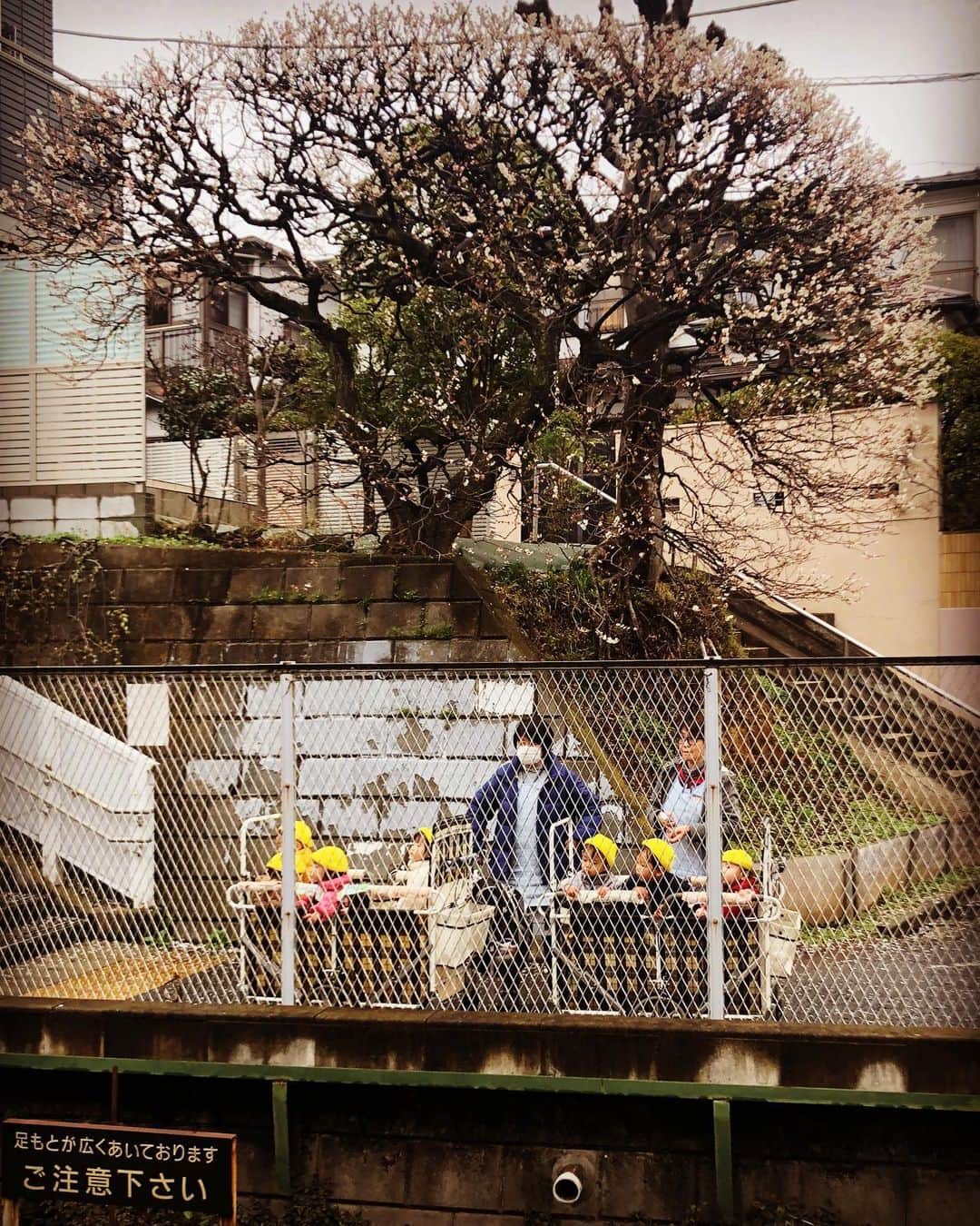 大根仁のインスタグラム：「今朝@東松原駅。お散歩カートを見るたび、胸が掻き毟られるような気持ちになるんだす。このあと映画「火口のふたり」を観ました。さらに胸が掻き毟られました。」