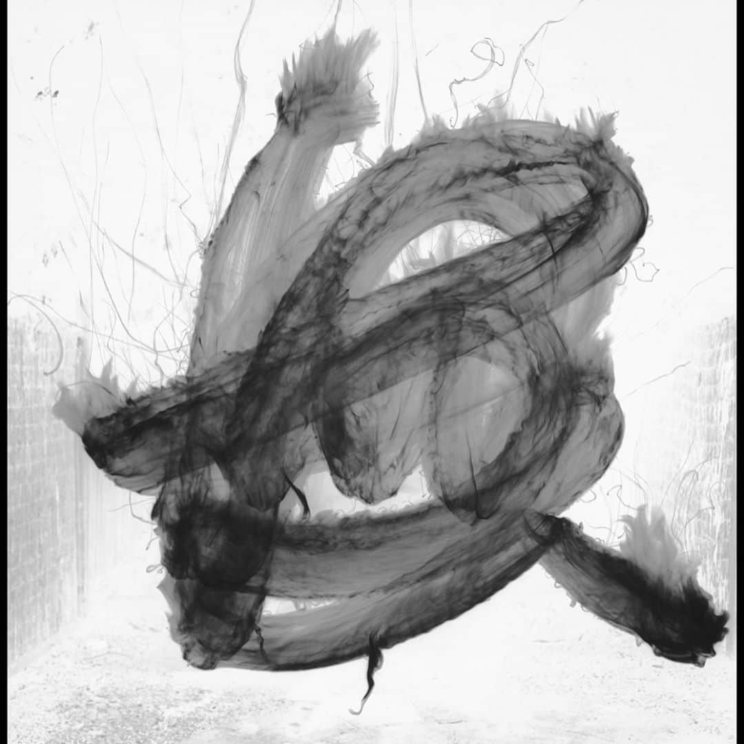 ハミルのグルメインスタ