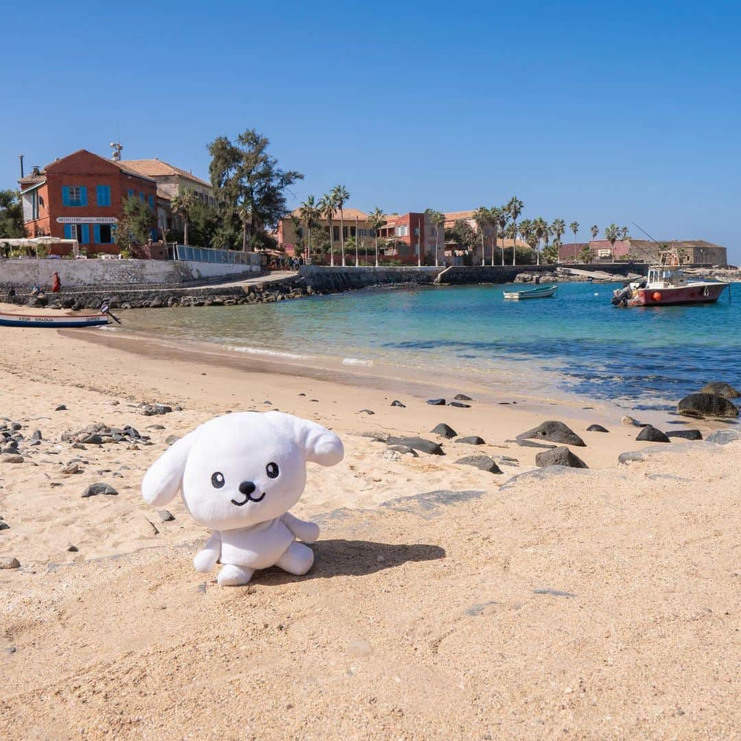 ダスキン ダス犬【公式】さんのインスタグラム写真 - (ダスキン ダス犬【公式】Instagram)「セネガルの首都ダカールの周りには素敵な島がたくさんあるんだー！ 日本もだんだん暖かくなって、こんな青い海が見られる季節ももうすぐかなあ。 #世界一周 #Goree #ダカール #Dakar #Senegal #旅人と旅」2月26日 19時09分 - dusken_official