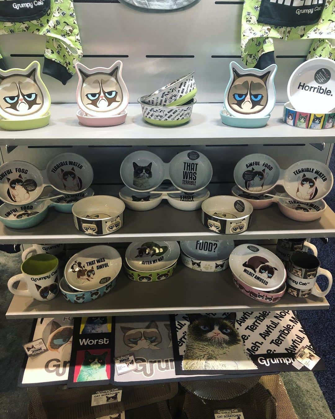 Grumpy Catさんのインスタグラム写真 - (Grumpy CatInstagram)「Check out the full line of Grumpy Cat Pet Accessories from @petrageousdesigns at @globalpetexpo this week. Available to purchase NOW at @chewy, @amazon, and @walmart! Link in bio!」2月27日 5時47分 - realgrumpycat