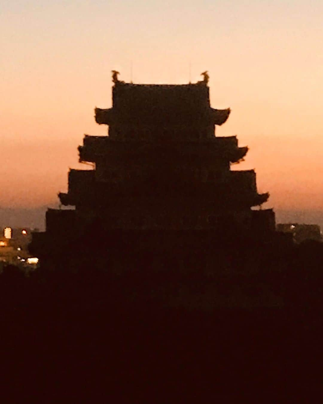 凰津りささんのインスタグラム写真 - (凰津りさInstagram)「名古屋城🏯 . . 先日、名古屋に一泊二日でお城巡りへ行って参りました🏯 . 名古屋城の正面にある名古屋キャッスルホテルに泊まったので、ディナーの時はずーっと名古屋城を眺めながらフルコースをゆっくり楽しめる最高の一時🍾🍽 . しかも私の両親が今回は一緒だったので有り難い事にゆっくりディナーとモーニング出来たことに感動🥺✨ . お城巡りは別行動ですがww ↑私たちの趣味に付き合いきれんらしい . そりゃそーだよな‼️ 名古屋城→清洲城→犬山城 を1日かけてじっくり回る。 . ガイドさんに案内して頂きながら名古屋城本丸、外のオススメスポットを散策出来て最高の時間でした🏯 . 家光に対する義直の想いが所々にあって、それを知れたことが勉強になった。 . 百聞は一見に如かず。 . いくつになっても好奇心旺盛でいたいものだ‼️ . #もうすぐ30歳  #まだまだ知りたいお年頃 #歴女 ではないが #城おばさん になれるよーに頑張る #名古屋城 #金の鯱 #天守復興願う #徳川家 #尾張徳川家 #徳川義直 私の息子は 利直👶」2月26日 23時09分 - outsu.risa95