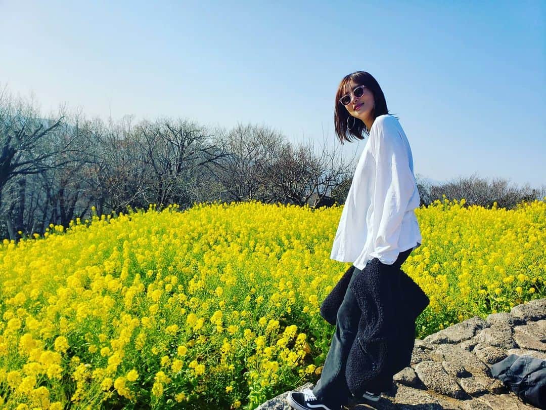 夏菜さんのインスタグラム写真 - (夏菜Instagram)「🌼」2月26日 23時12分 - natsuna_official