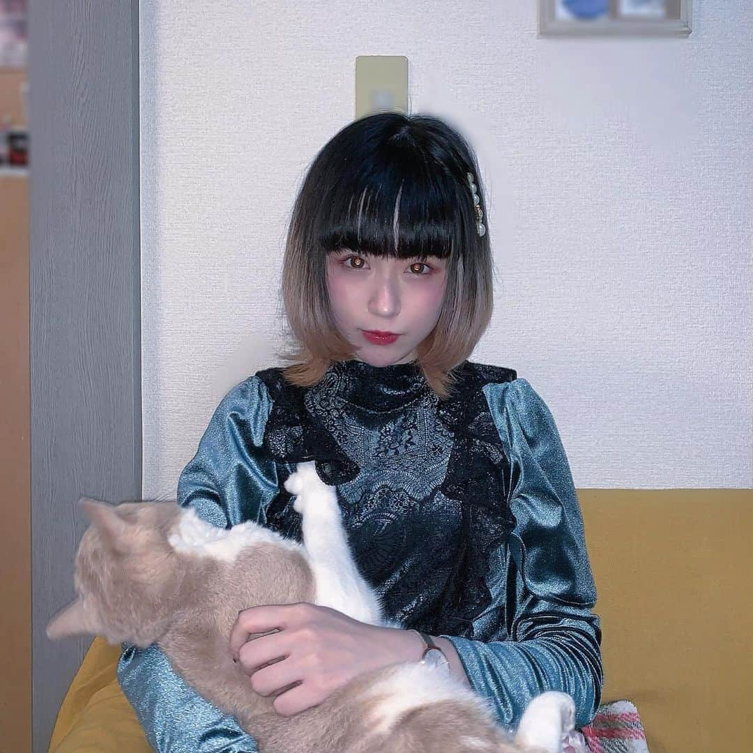 モニ子さんのインスタグラム写真 - (モニ子Instagram)「#cat #🐈」2月26日 23時13分 - monico_cos
