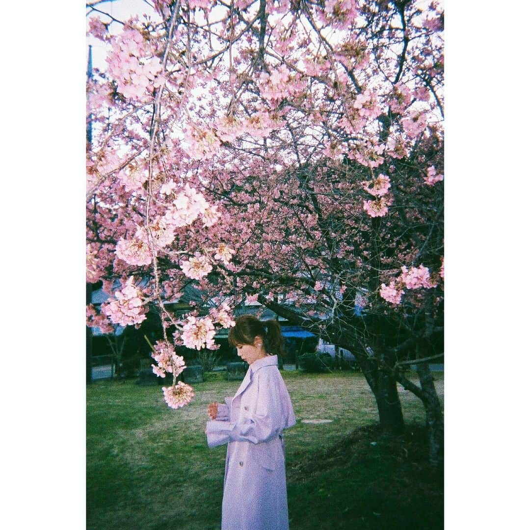 MACOさんのインスタグラム写真 - (MACOInstagram)「桜の木の下」2月26日 23時25分 - maco___official