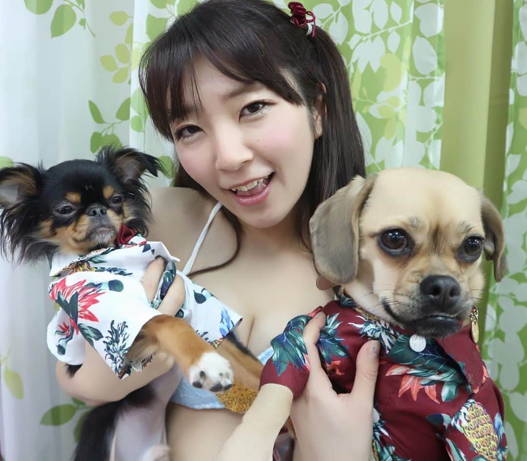 服部彩香さんのインスタグラム写真 - (服部彩香Instagram)「愛犬可愛い🐶 悲しいことばかりなので明日から 3日間はおうちに引きこもって 愛犬とすごします🐶 . #フリーモデル #フリーランス #被写体 #撮影会 #グラドル #グラビア  #くびれスト #被写体 #撮影会 #撮影依頼 #仕事依頼 #ポートレート #ポートレートモデル #野外撮影  #あやかまる #服部彩香 #愛犬 #パグックス #狆チワ #ミックス犬 #portrait #japanesegirl  #cute #kawaii  #followme  #写真好きな人と繋がりたい #カメラ好きな人と繋がりたい」2月26日 23時36分 - ayasyan1112