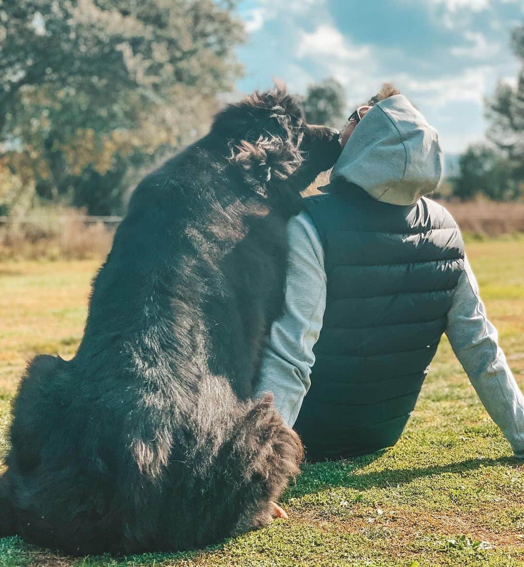 ゴルカ・イライソス・モレノのインスタグラム：「ACOMPAÑAR. ESTAR PRESENTE. EMPATIZAR. En ocasiones las personas no necesitamos que quien está a nuestro lado nos diga que hacer o como hacer.  Solo basta con sentir que están ahí,en SILENCIO. Así dándonos su apoyo para el camino que decidamos tomar. #kenia  #momentosunicos #montaña #mountain #mifriend #terranovas」