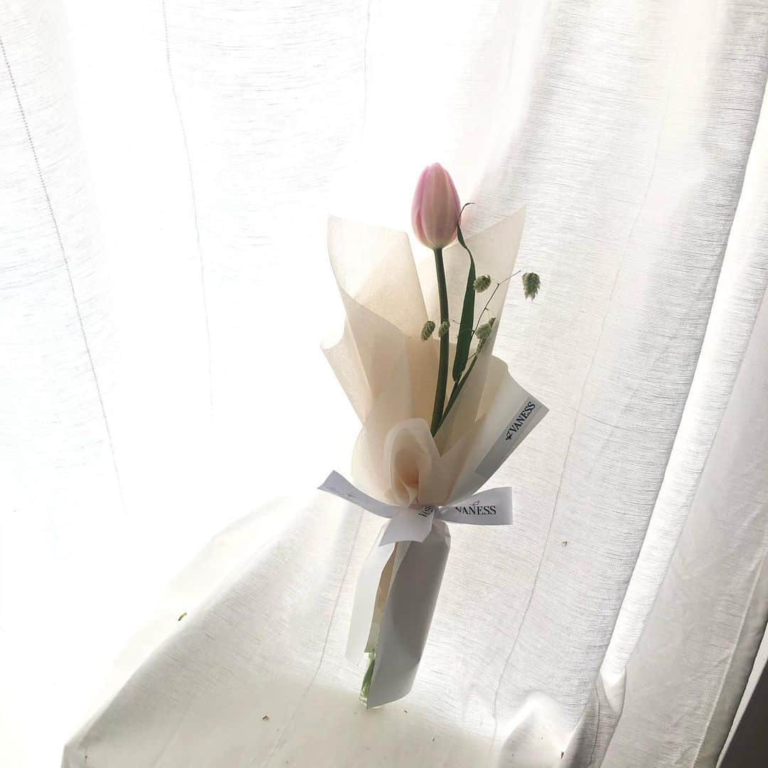 플로리스트 이주연 florist Lee Ju Yeonさんのインスタグラム写真 - (플로리스트 이주연 florist Lee Ju YeonInstagram)「. . 🤍 . #한송이꽃다발 #바네스꽃다발 #한송이포장 . . 클래스상시모집 당일꽃주문가능 #수업문의 #주문예약 #lesson #Order  Katalk ID vaness52 WeChat ID vaness_flower E-mail vanessflower@naver.com 订花 WeChat ID vaness_flower  강남구 역삼동608-16 📞02-545-6813 . #vanessflower #florist #flowershop #handtied #flowerlesson #花束 #花束包装 #바네스플라워 #플로리스트 #꽃다발 #웨딩부케 #역삼역꽃집 #언주역꽃집 #플라워레슨 #꽃다발주문 #꽃수업 #기업출강 #꽃주문  #대관 #공간대여 #공간쉐어 #강남대관 #세미나대관」2月26日 23時33分 - vanessflower