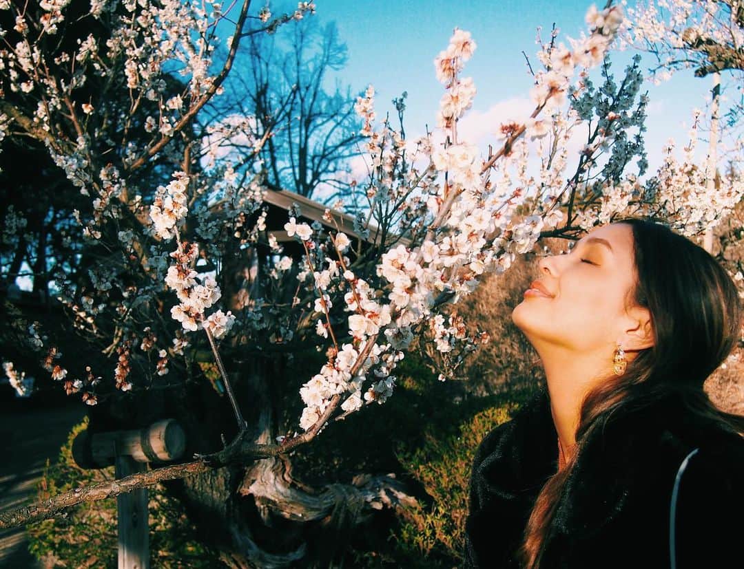 加治まやのインスタグラム：「3番目に、好きな花。 梅を見に偕楽園に行きました🌸4年ぶり。梅には軍事の時の非常食に、と言う意味もあったんだって。  #偕楽園　#梅　#花見　#水戸　#茨城　#国内旅行#旅#旅行#茨城観光 #japantrip #japantravel #旅好き　#歴史旅　#タビジョ #徳川斉昭　#plumblossom」