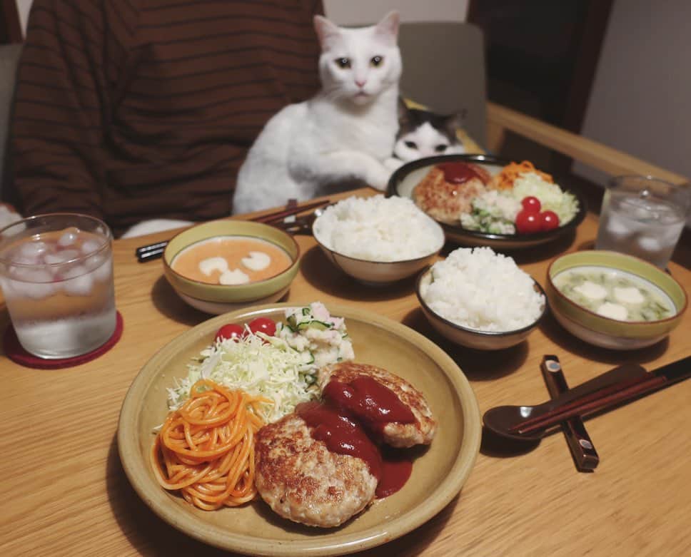 八、おこめさんのインスタグラム写真 - (八、おこめInstagram)「🎶 『お久しぶりの食卓に八おこめです〜。』 って、おこちゃんが言うてます〜。 久しぶりにちゃんと作った夕飯…。 ポタージュは @toitoitoicat で販売してる @kyonosoupyasan さんの九条ねぎ(手前)、金時にんじん(奥)のポタージュです🥄 優しいお味で、野菜の苦手な子供さんでもきっと美味しく頂けそう♪ ぷかぷか浮いてるニャンコはteamねこのてスタッフのアキコさん( @akiko.rocks )手作りのクルトン♡ そして箸置きは @kuritachizuru さん✨ 5枚目→左2本が新しく仲間入りした2本♪ 右2本は去年の。 かわいい豆皿は、偶然ハッチャンとおこちゃんみたい。こまちゃんが教えてくれた♡ 欲しかったお皿だったから買えて嬉しい〜✌︎✌︎ ポタージュは他にも味が色々あります。 お皿は残り少ないですが、箸置きはステキな色が残っています✨ おすすめなのでぜひ @toitoitoicat で〜♩ #お豆腐ハンバーグ #京のすうぷ屋さん #toitoitoicat #toitoitoiきっとうまくいくミニマムプロジェクト #チャリティーイベント #伊丹市 #ねこ部 #cat #ねこ #猫 #ネコ#八おこめ #八おこめ食べ物」2月27日 0時13分 - naomiuno