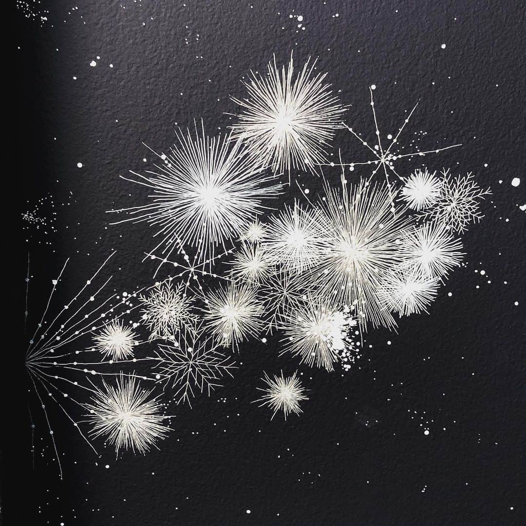 のインスタグラム：「“ Cosmic Garden “ par Sandra Cinto.」