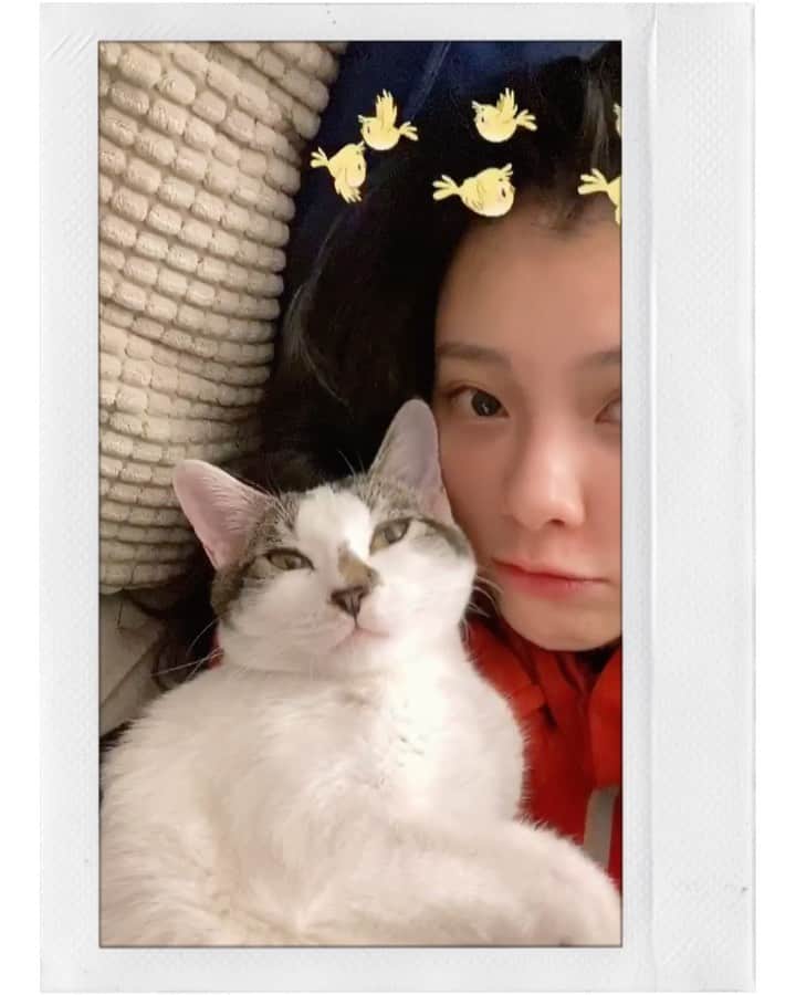 張香香のインスタグラム：「趁女鵝撒嬌的時候跟她來個自拍🤳😆 #麥麥🐱❤️」