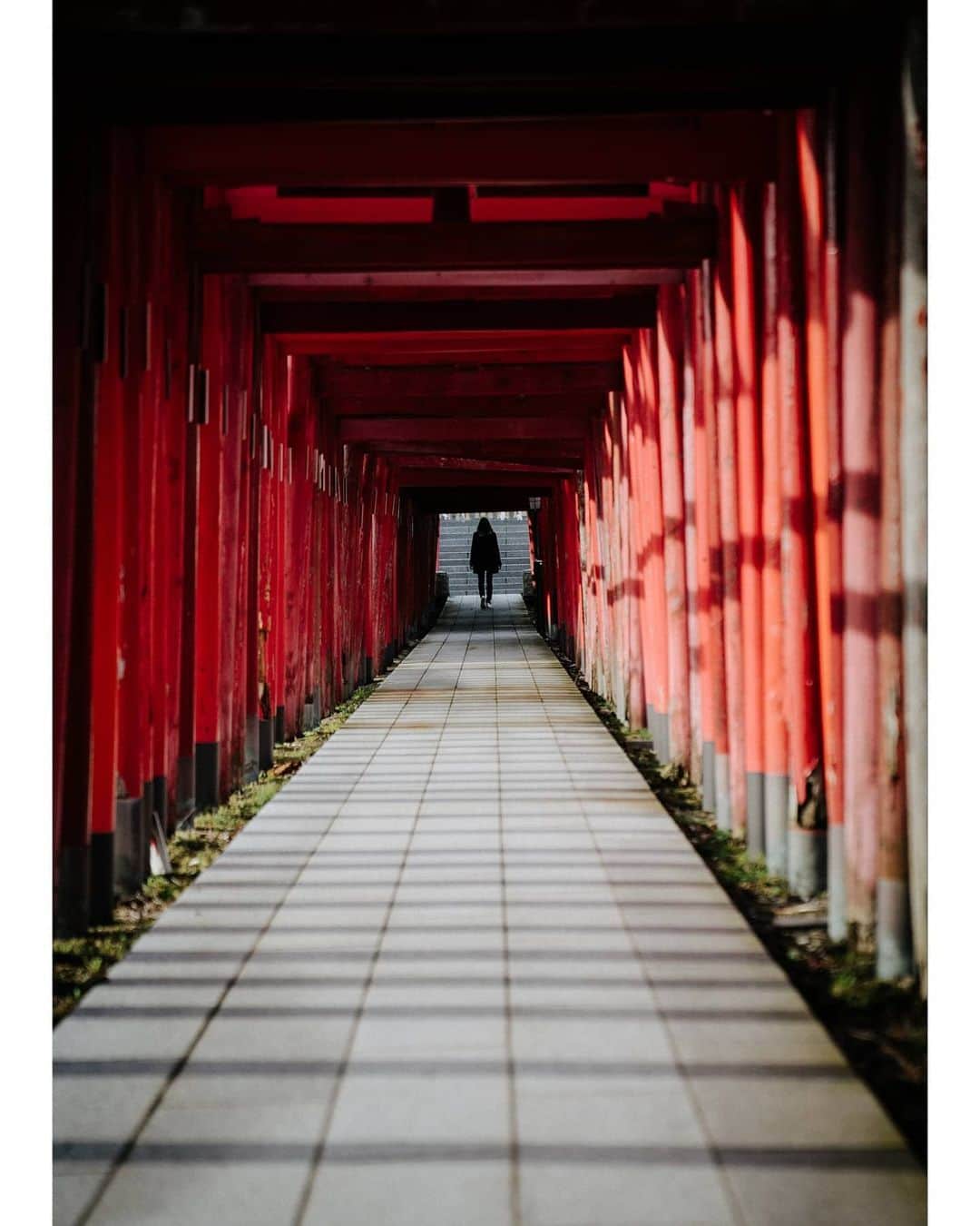 VuTheara Khamさんのインスタグラム写真 - (VuTheara KhamInstagram)「One journey in #Niigata, Japan, (2020) 🇯🇵 It's a selection of pictures taken in Niigata a few weeks ago. #UnknownJapan #visitjapanjp @visitjapanjp . 1) 2) 3) Sunset over the Sea of Japan 4) 5) 6) 7) 8)Around Niigata's Furumachi by night 9) 10) Shinto Sanctuary」2月27日 1時29分 - vutheara