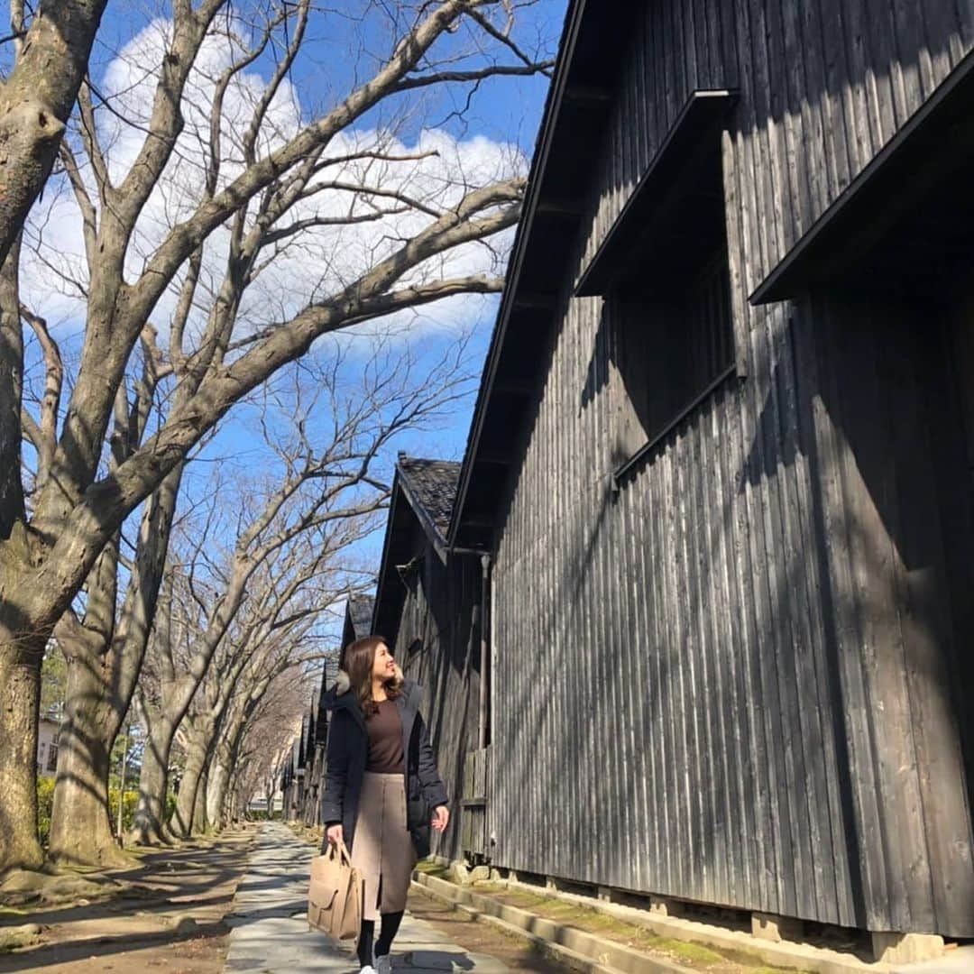 石川奈津紀さんのインスタグラム写真 - (石川奈津紀Instagram)「【庄内旅✈️👾③】 二日目は 念願の鈴政～🍣🥺 涙がでるほどおいしいよ と言われて食べたら ほんっっとうに身悶えしました。 最初の炙りが特に好みだったなぁ🥺 思い出すだけでまたたべたい。 せっかく酒田に行ったので 山居倉庫でインスタ映えしゃしんも📷 130年近くまえに建てられた 米の管理倉庫、まだ現存してるってすごい。  クラゲ水族館として名高い 「加茂水族館」にもひさびさに行けて 癒されました…💓 * #おいでよ山形 #おいでよ庄内 #加茂水族館 #クラゲ水族館 #山居倉庫 #鈴政 #日本酒 #日本酒🍶#日本酒好き #日本酒好きな人と繋がりたい #日本酒女子 #sakemake #japanesesake #ポン酒タグラム #日本酒ナビゲーター #唎酒師 #ごちそうさまでした」2月27日 3時30分 - natsukiishikawa1011