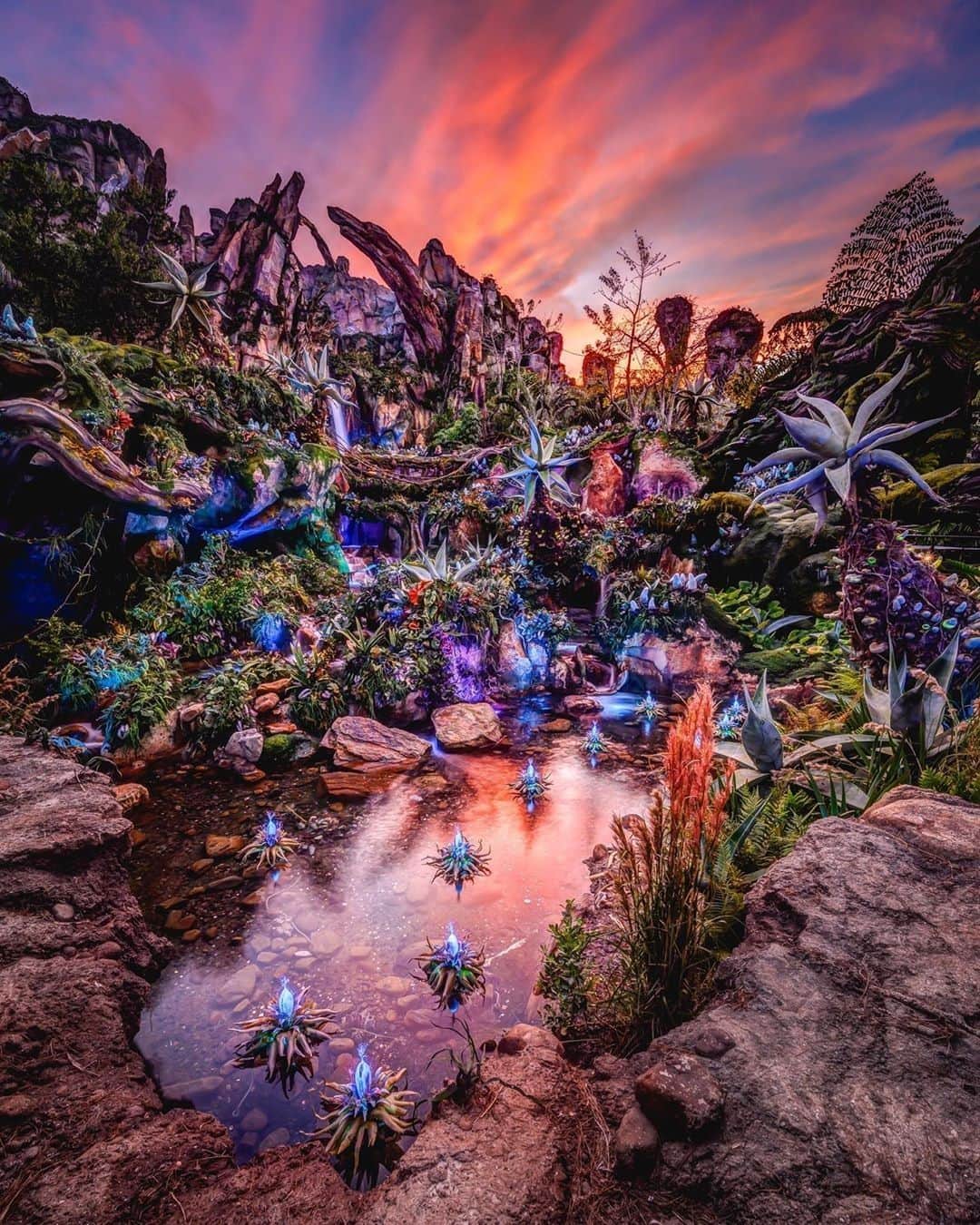 Walt Disney Worldさんのインスタグラム写真 - (Walt Disney WorldInstagram)「There's nothing like a Pandora sunset to brighten up your week. 🌅😍🌱 #PandoraWorldofAvatar #WaltDisneyWorld (📷: @whoiscliffwang)」2月27日 5時00分 - waltdisneyworld