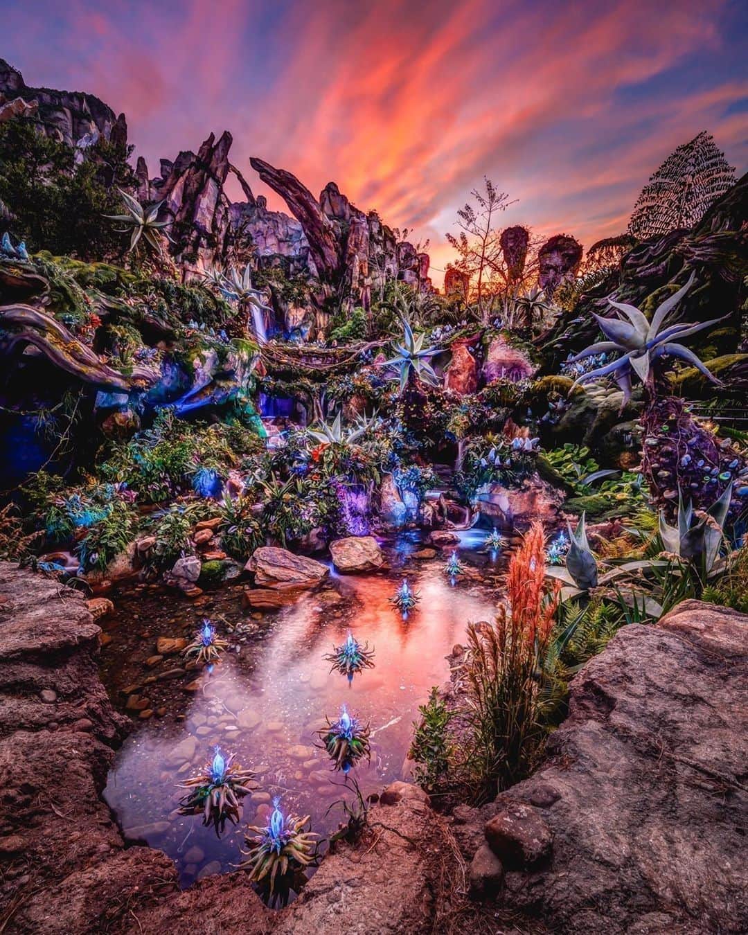 Walt Disney Worldのインスタグラム：「There's nothing like a Pandora sunset to brighten up your week. 🌅😍🌱 #PandoraWorldofAvatar #WaltDisneyWorld (📷: @whoiscliffwang)」