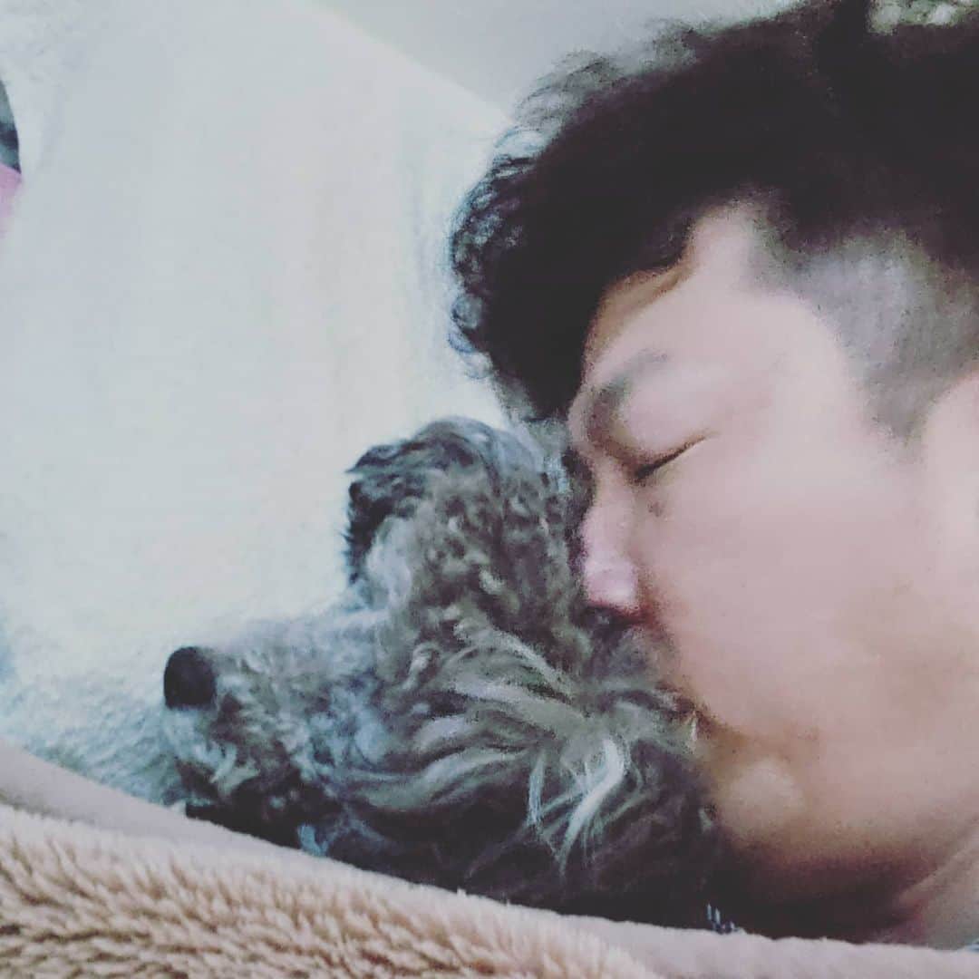 竹内弘一さんのインスタグラム写真 - (竹内弘一Instagram)「最近の寝床。湯タンポがわりのJOY。まあまあ朝まで起きないんです。#ワンスタグラム #シルバートイプードル #joy」2月27日 16時34分 - takeuchi_koichi