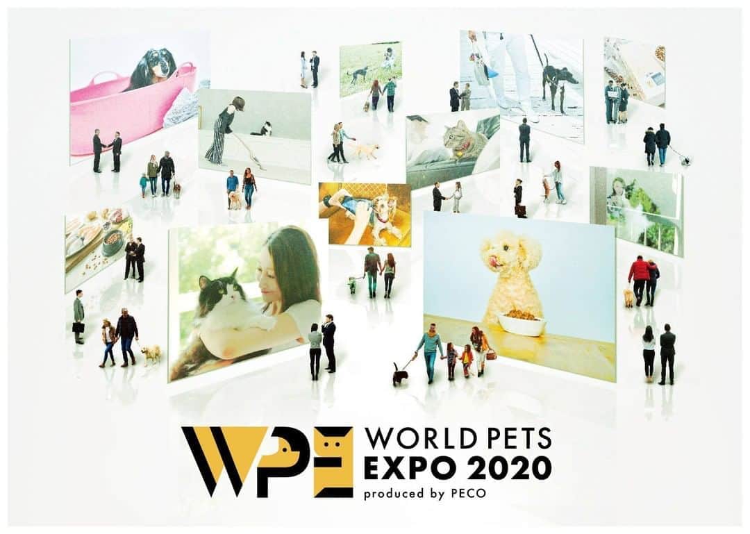 PECO いぬ部さんのインスタグラム写真 - (PECO いぬ部Instagram)「【#WPE2020フォトグランプリ】開催決定！ うちの子の写真を“大”大“大”募集します✨✨ . みんなのとっておきのうちの子写真を『WORLD PETS EXPO2020』デビューさせよう😆🌼 . . ペット業界初の取り組みとして、飼い主さんとうちの子がweb上で楽しめる“デジタルEXPO”『WORLD PETS EXPO 2020』をPECOがプロデュースさせていただきました！ . 今回はそんな『WORLD PETS EXPO2020』をさらに盛り上げるべく、『#WPE2020フォトグランプリ』に参加してくれるうちの子を大募集します🐱🐶🐰🐹🐥 . うちの子のとっておきのお写真に 【#WPE2020フォトグランプリ】をつけて投稿すると… EXPOにうちの子が展示されちゃうかも💓💓 . . [募集期間] 2/27(木)〜3/16(月) ※大好評につき、4/15(水)まで募集期間の延長が決定しました！ . . ▼詳しい応募規約などはこちらから！ https://peco-japan.com/79213 . たくさんのご応募お待ちしています🌷」2月27日 15時28分 - pecodogs