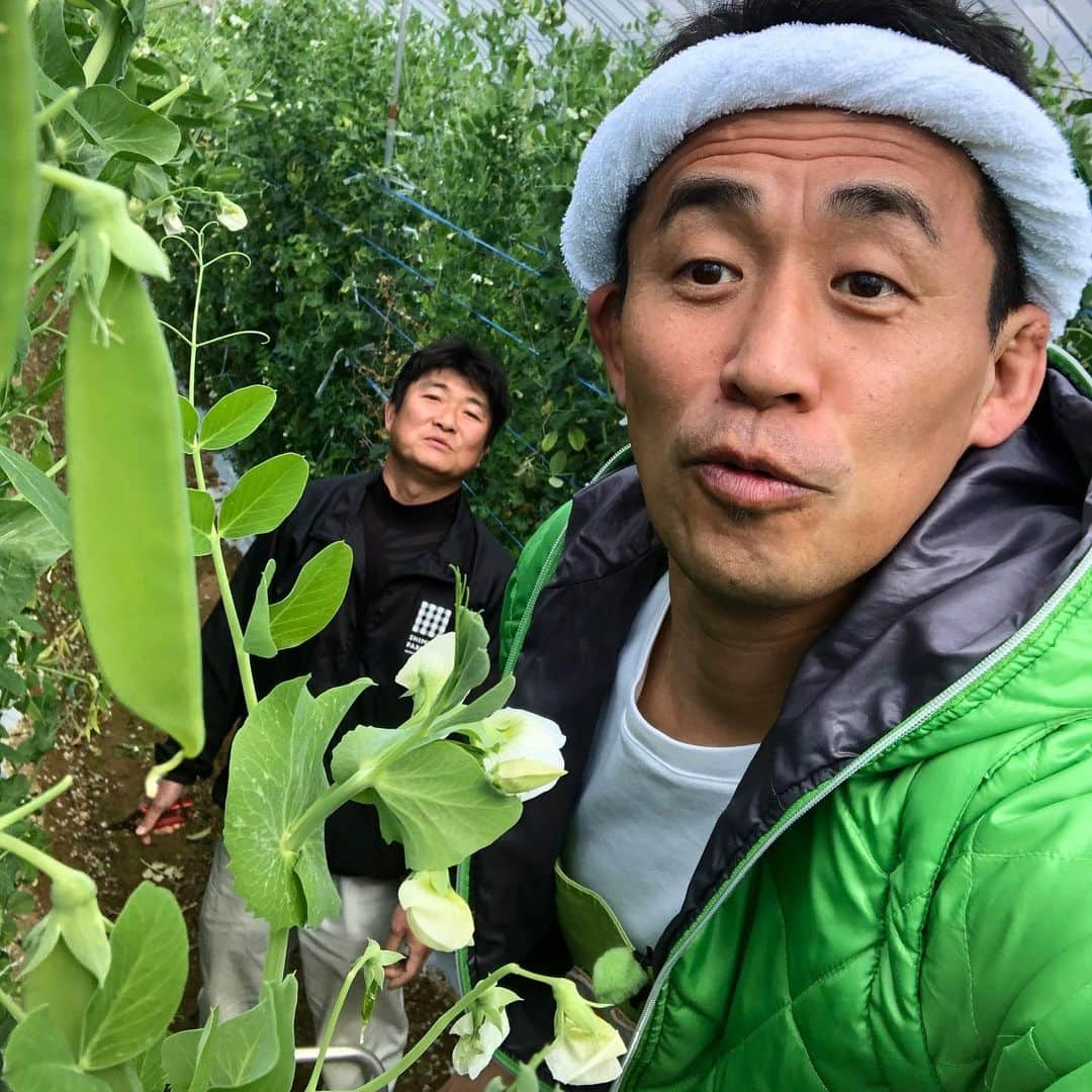 石田靖のインスタグラム