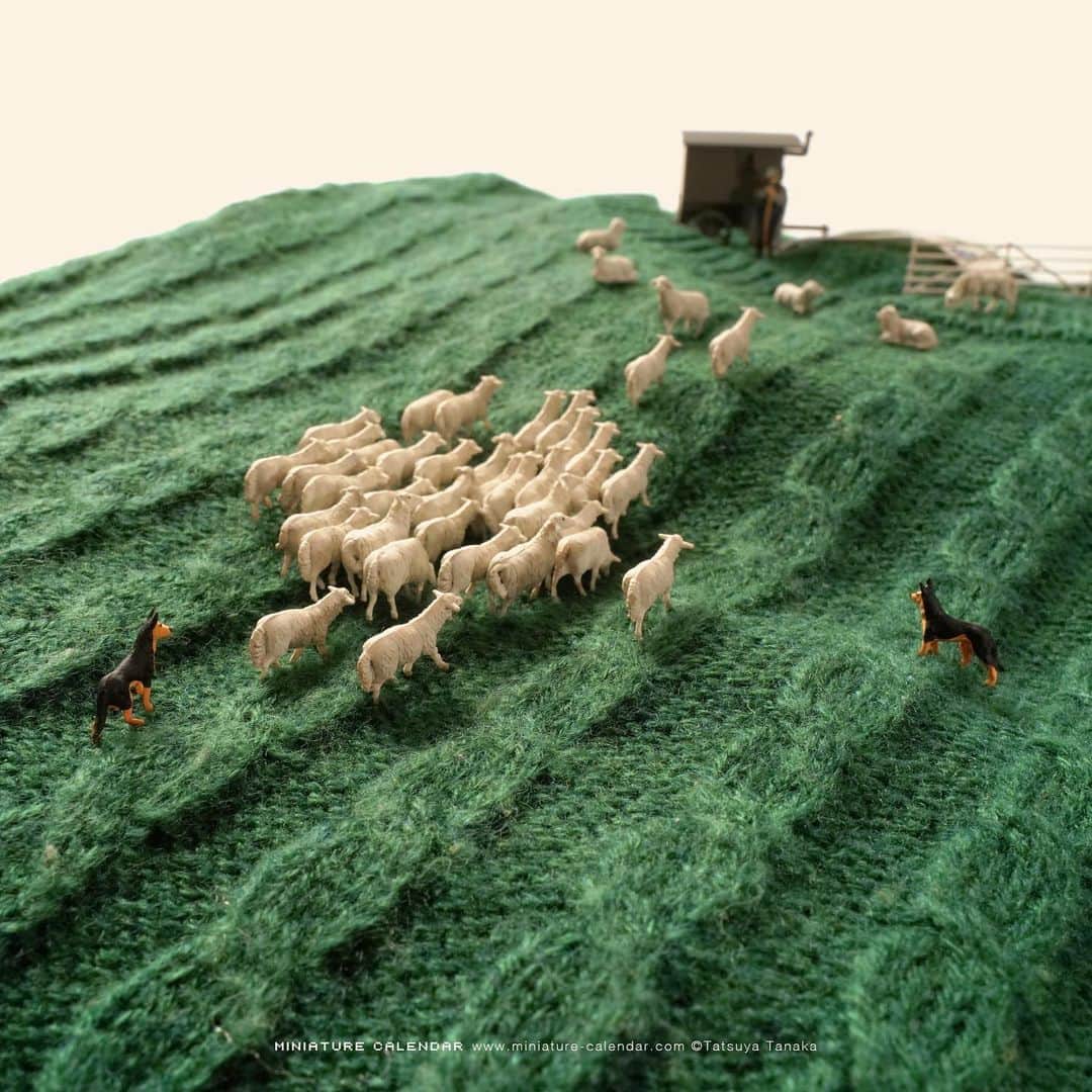 田中達也さんのインスタグラム写真 - (田中達也Instagram)「. 2.27 thu “Warm Farm” . 羊だよ全員集合 . #セーター #牧羊 #Sweater #Sheep . ────────────────── 《EXHIBITION info》 . 【MINIATURE LIFE展 in 山形】 MINIATURE LIFE EXHIBITION in Yamagata until Mar 1, 2020 #MINIATURELIFE展 #ミニチュアライフ展 . 【微型展 2.0 台中站】 MINIATURE LIFE EXHIBITION2 in Taichung until Mar 1, 2020 #微型展 #田中達也微型展 . 【small MUJI vol.1“Miniature”】 until Feb 29, 2020 #smallMUJI #MUJIKamppiHelsinki . ℹ️Please look at the Instagram story’s highlight for more information. .」2月27日 9時00分 - tanaka_tatsuya