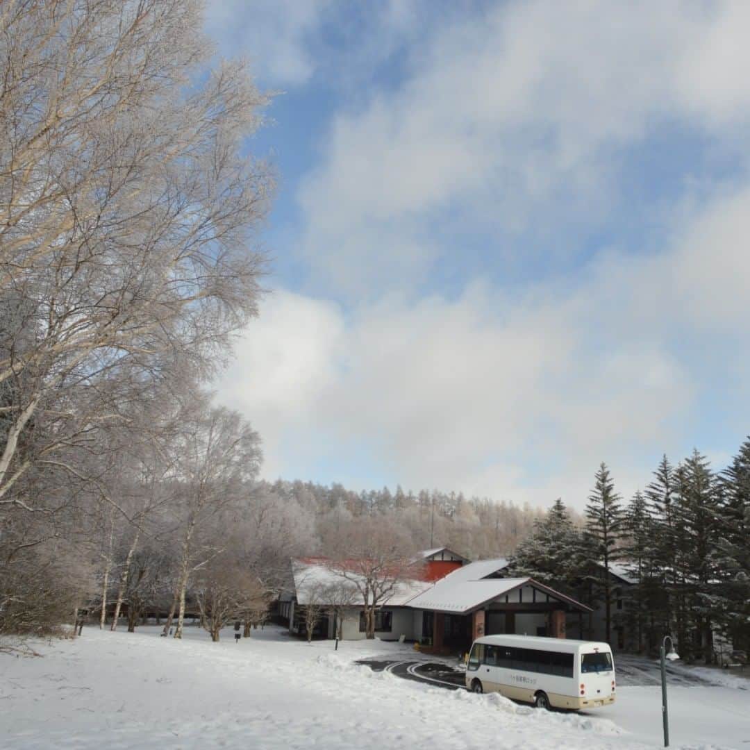 【公式】八ヶ岳高原ロッジ・八ヶ岳高原音楽堂さんのインスタグラム写真 - (【公式】八ヶ岳高原ロッジ・八ヶ岳高原音楽堂Instagram)「久しぶりに雪に覆われました。 例年に比べると少ない貴重な雪景色です。  マイナス6度ほどの寒い朝ですが、この寒さが今年はとても大切な気がします。  #寒い朝 #雪が好き  #雪景色 #冬の空  #八ヶ岳高原ロッジ #リゾートホテル」2月27日 10時46分 - yatsugatake_kogen_lodge