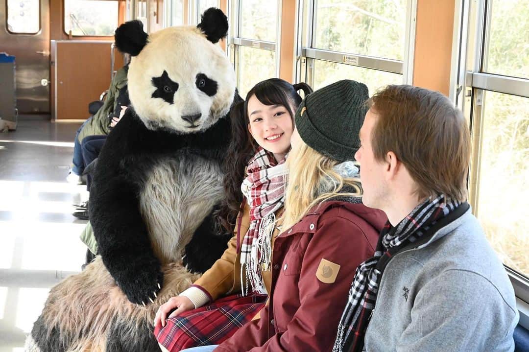 星星（セイセイ）さんのインスタグラム写真 - (星星（セイセイ）Instagram)「🇯🇵 . きょうの #ベラベラENGLISH は… 🌟How do you like Japan? 🌟日本ってどうですか？ . #いすみ鉄道 #星星 #パンダ #panda #pandagram #パンダ好きな人と繋がりたい #レイア #相方 #ZIP!」2月27日 16時45分 - seisei_panda