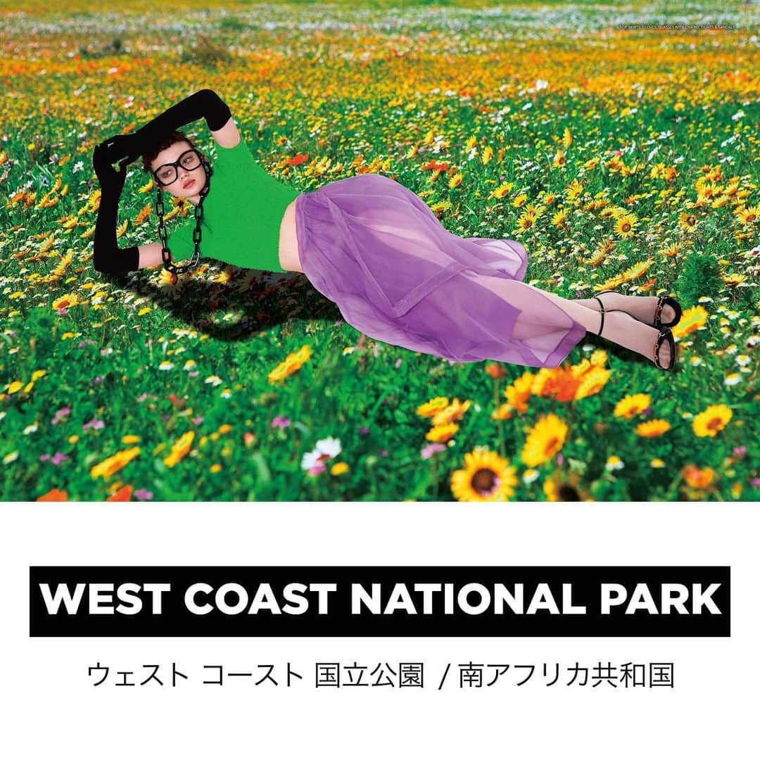 commons&senseのインスタグラム：「. commons&sense ISSUE58 GUCCI FASHION STORY WEST COAST NATIONAL PARK」