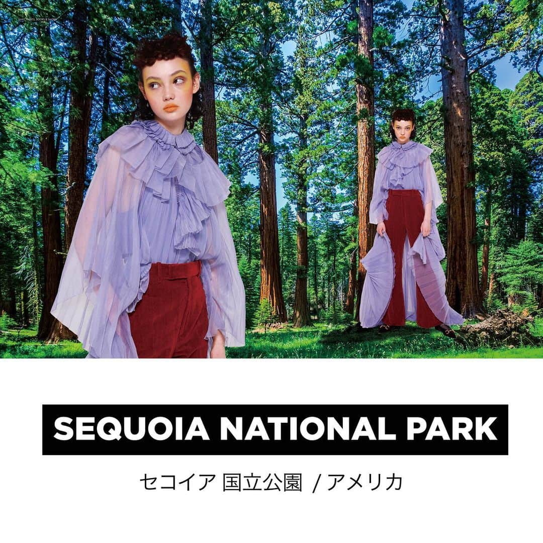 commons&senseのインスタグラム：「. commons&sense ISSUE58 GUCCI FASHION STORY SEQUOIA NATIONAL PARK」