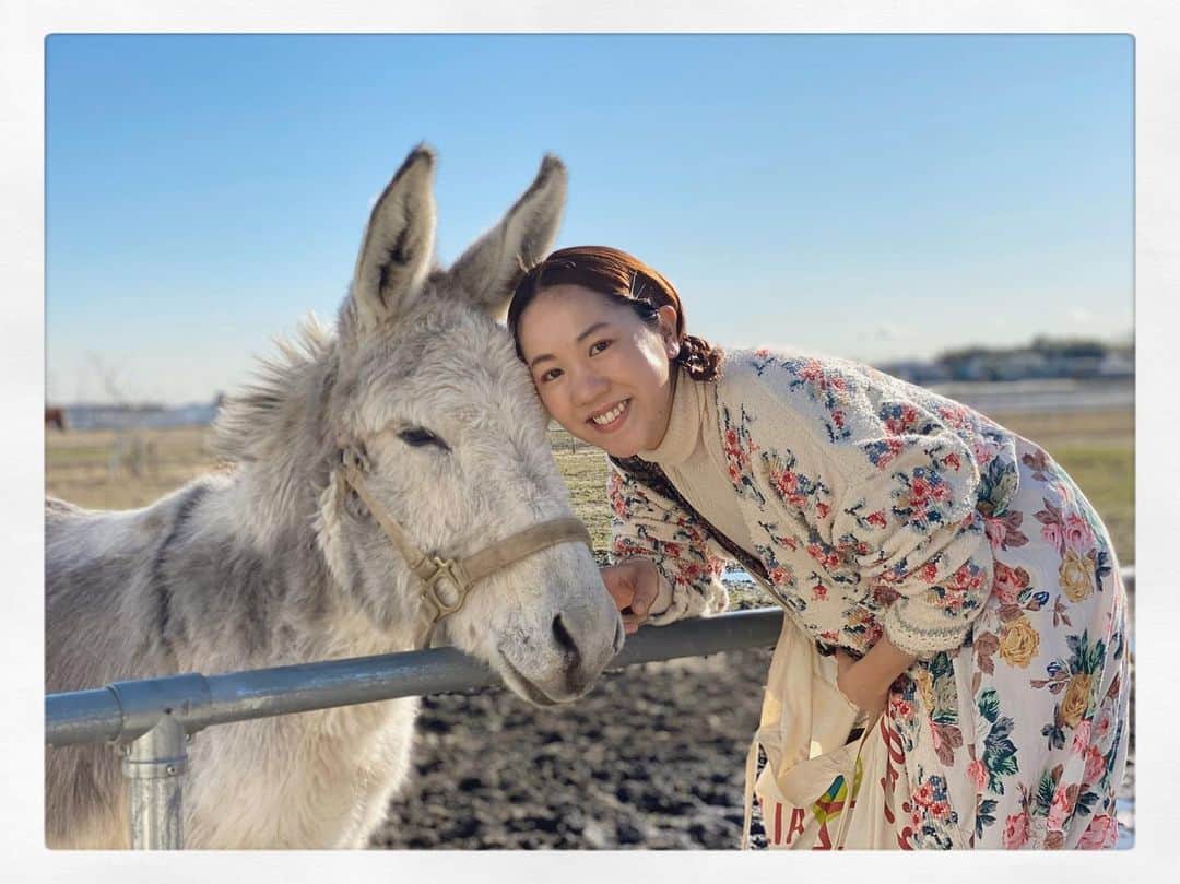 松本野々歩のインスタグラム：「明るいにゅーす（かなり個人的）  岡山県に移住した親友たちが ロバと暮らし始めた！  それがほんと運命的な出逢いで ほんとにすごい話で　みんなで震えたよね  この写真の時は　とりあえず牧場に会いに行こうって はじめましての日なんだけど すぐにその夫婦とわたし心奪われてさ それからすぐトントントン〜と茨城から岡山へ それ以来まだ会えてないの  毎日送ってくれる動画や写真が楽しみすぎる 自称ロバの叔母なのである  ロバの音楽座、ロバハウスの娘だけあって これほどにロバが好きだったか！ってほどにもうロバに夢中  いや　この子は 世界中のロバを見てきた　ロバオタクの松本家も メロッメロになるほどのかわいさなのだよ  早く海辺をデートしたい  #ロバ #ロバと暮らすのが夢 #ロロとノノ #ロバの叔母 #ロバに夢中 #ロバ好きの人と繋がりたい　ほんとに笑」